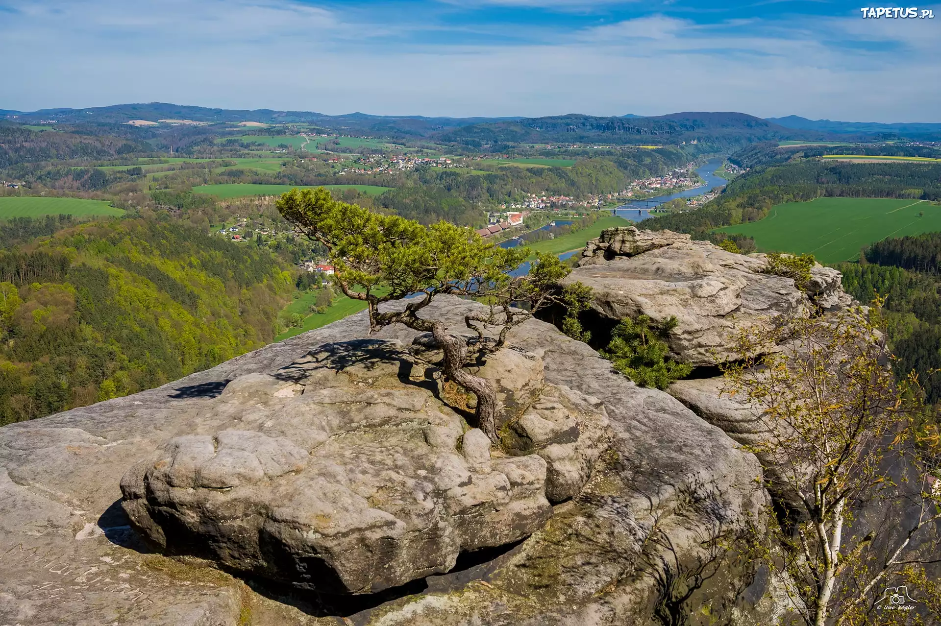 Góra Lilienstein, Drzewo, Skały, Saksońska Szwajcaria, Niemcy