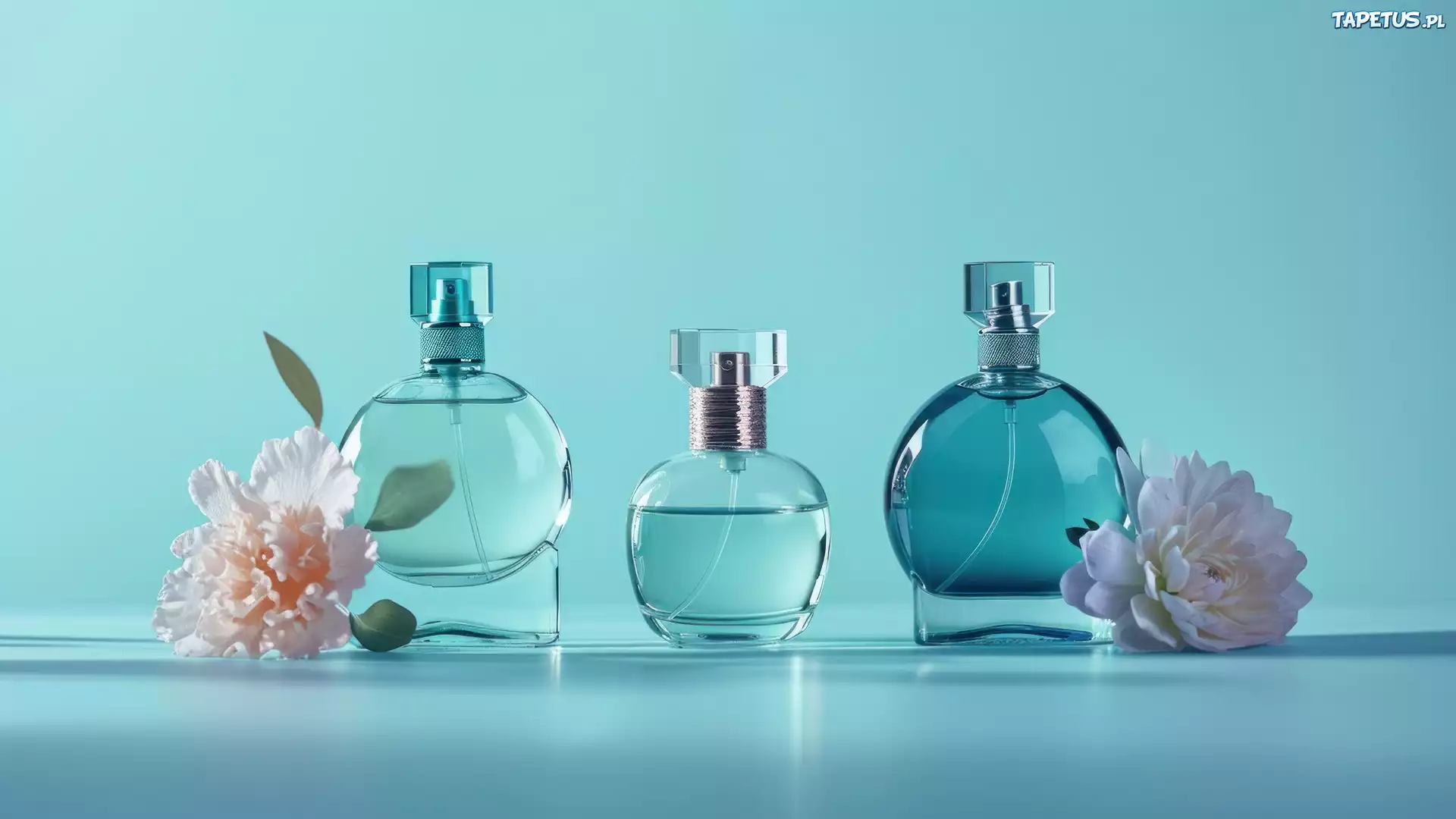 Perfumy, Flakon, Kwiaty, Niebieskie, Tło