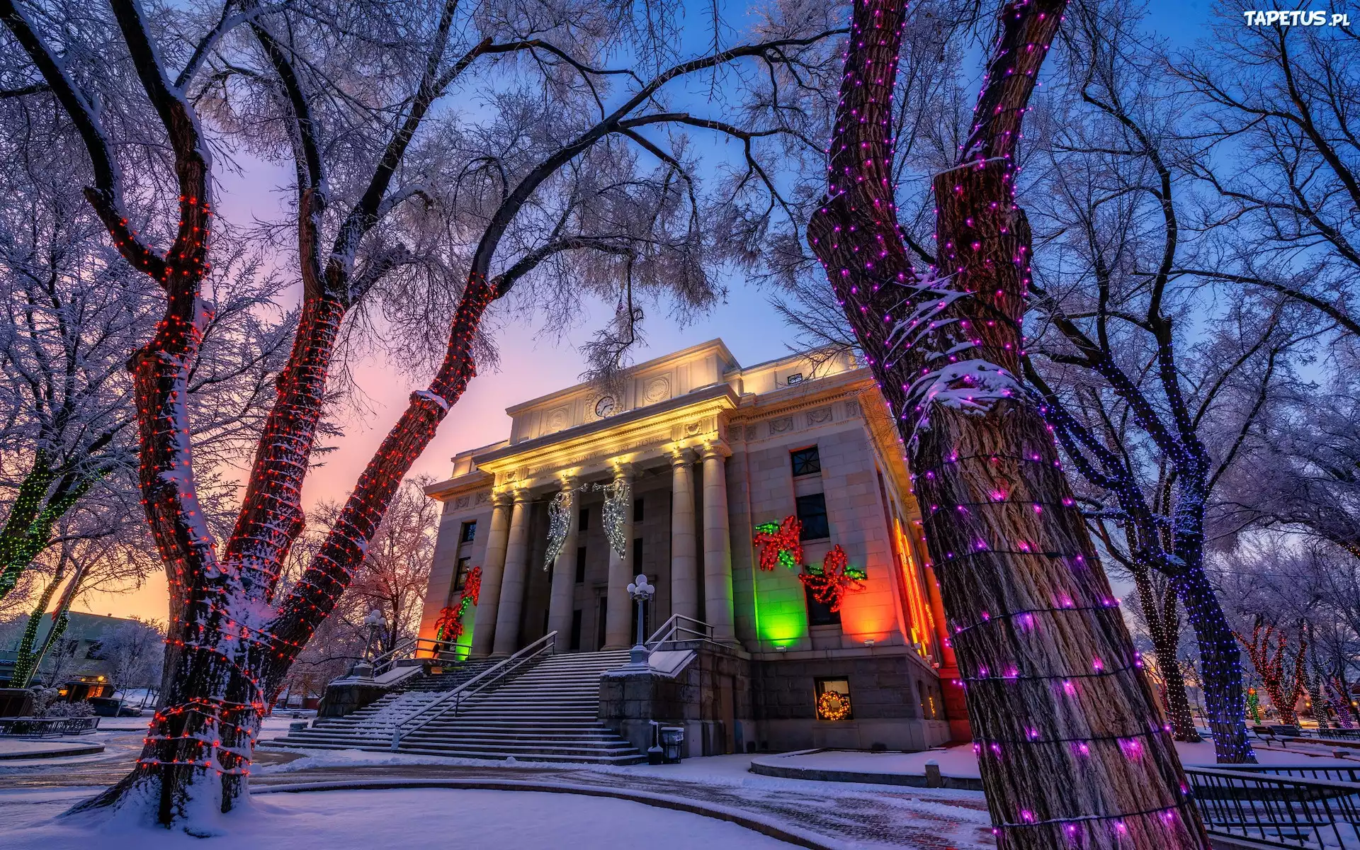 Stany Zjednoczone, Arizona, Prescott, Dom, Courthouse, Drzewa, Zima