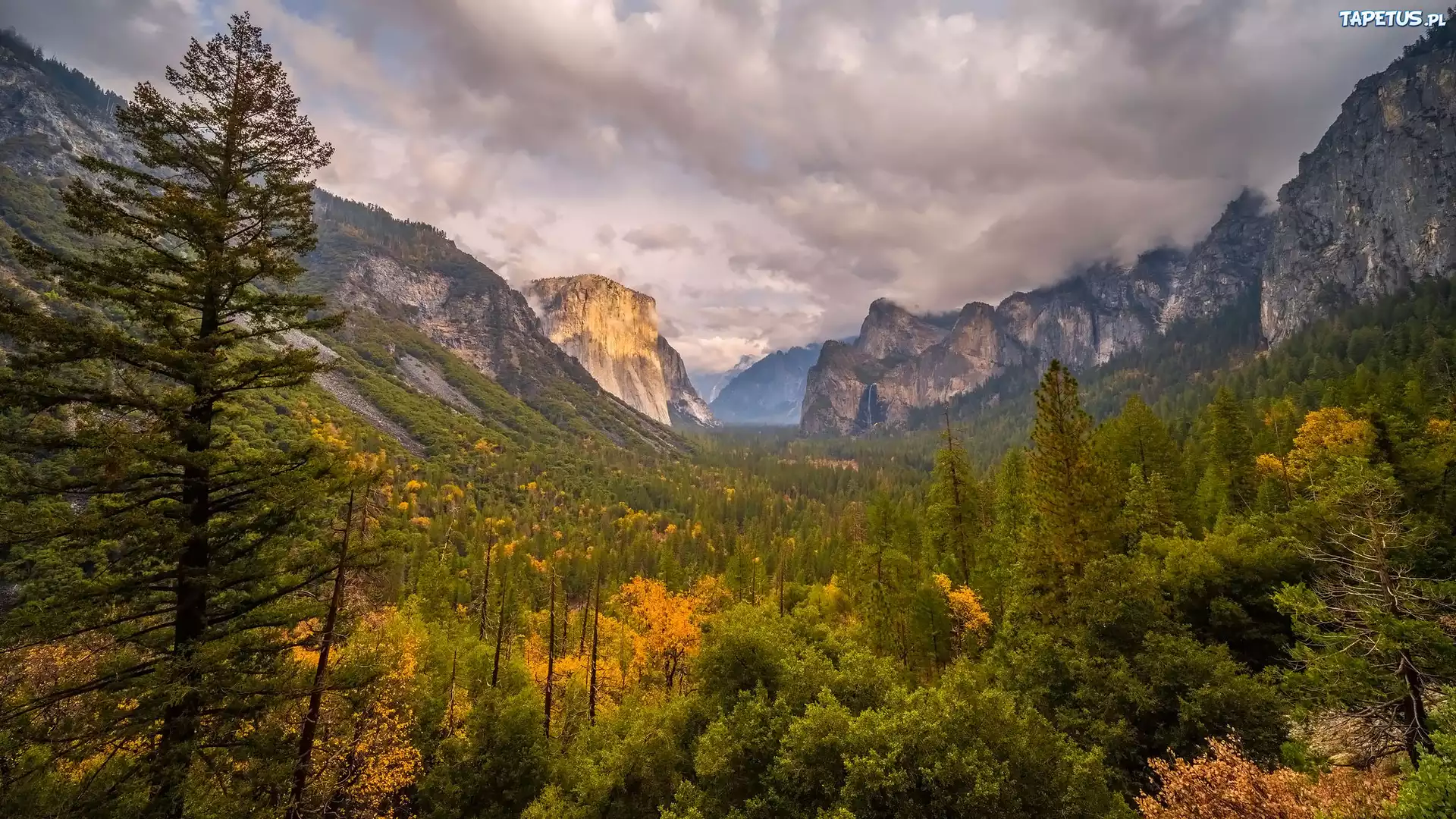 Drzewa, Góry, Chmury, Park Narodowy Yosemite, Kalifornia, Stany Zjednoczone