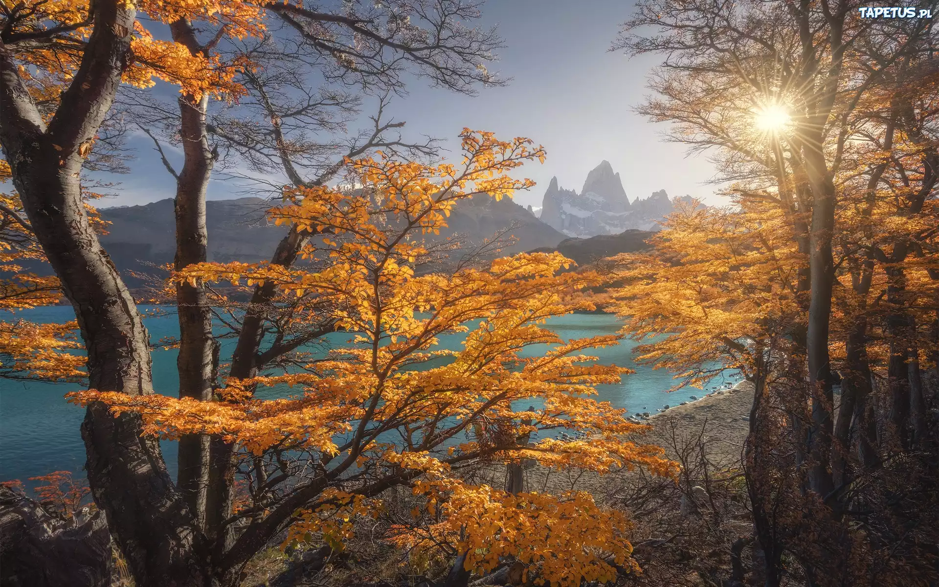 Argentyna, Patagonia, Góra, Fitz Roy, Jesień, Drzewa, Promienie słońca, Jezioro