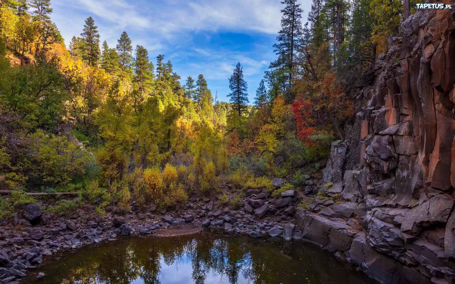 Stany Zjednoczone, Arizona, Sedona, Drzewa, Wąwóz, Skały