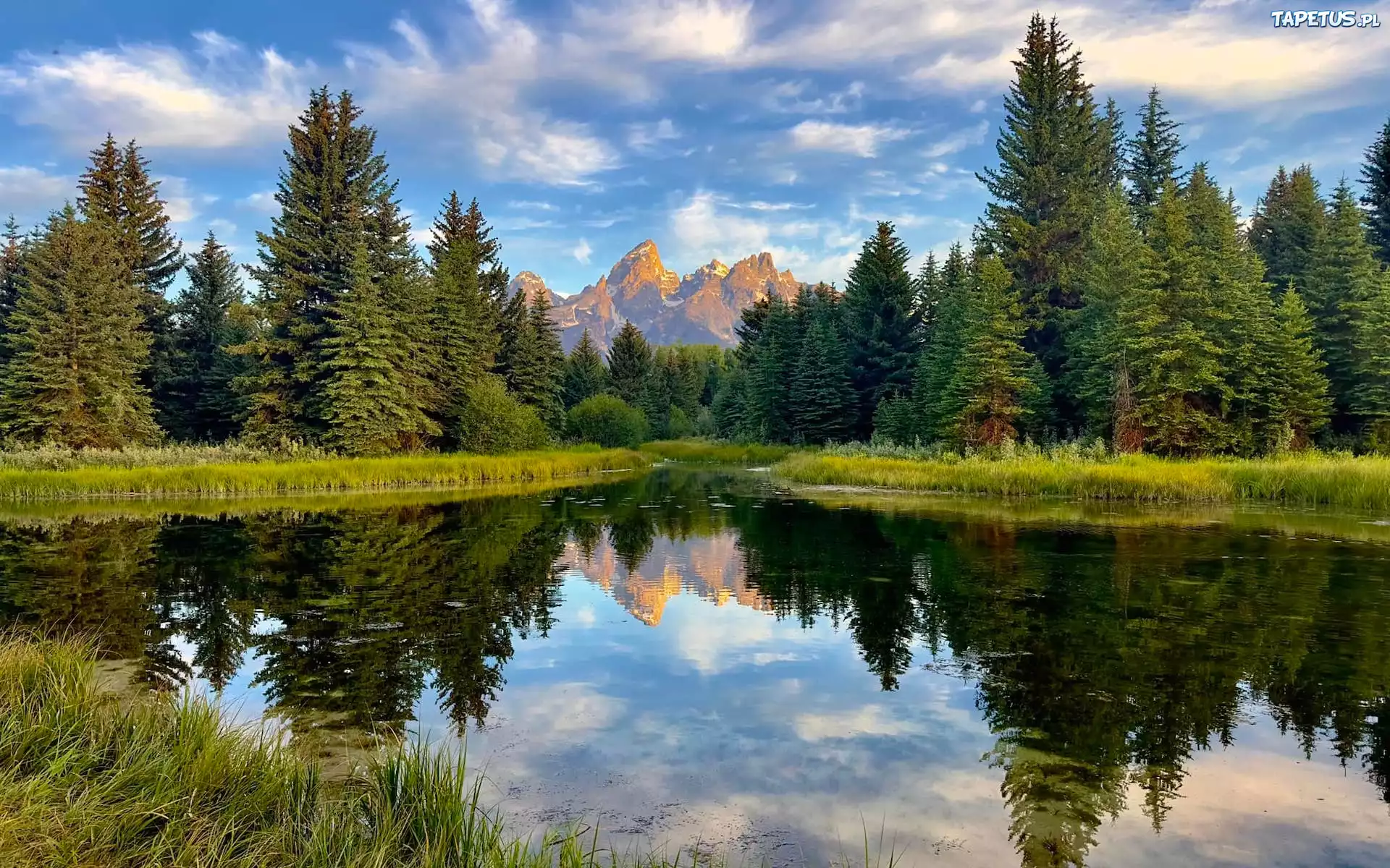 Park Narodowy Grand Teton, Wyoming, Stany Zjednoczone, Góry, Rzeka, Drzewa, Odbie