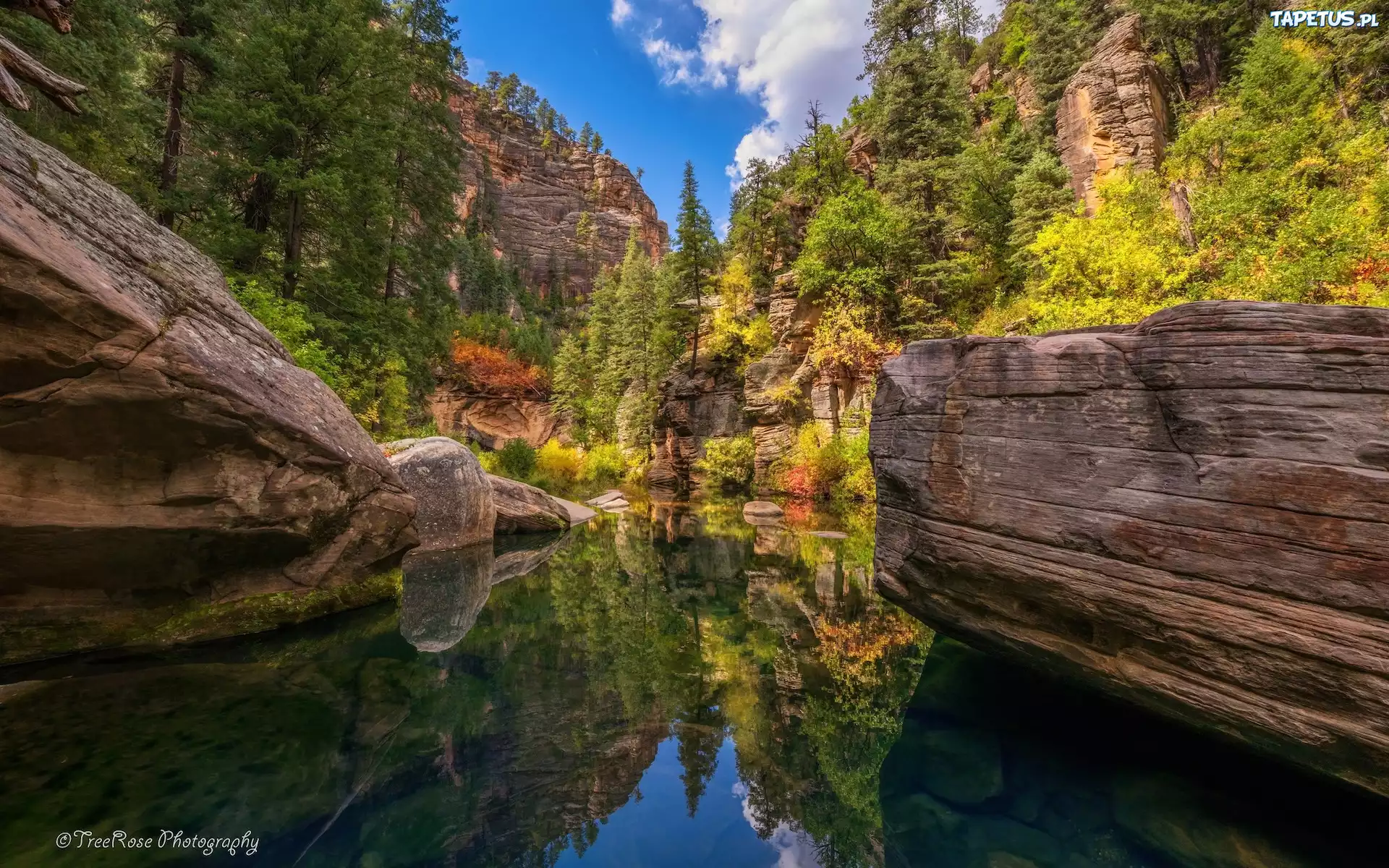 Stany Zjednoczone, Arizona, Sedona, Skały, Wąwóz, Rzeka, West Fork of Oak Creek, Drzewa, Odbicie