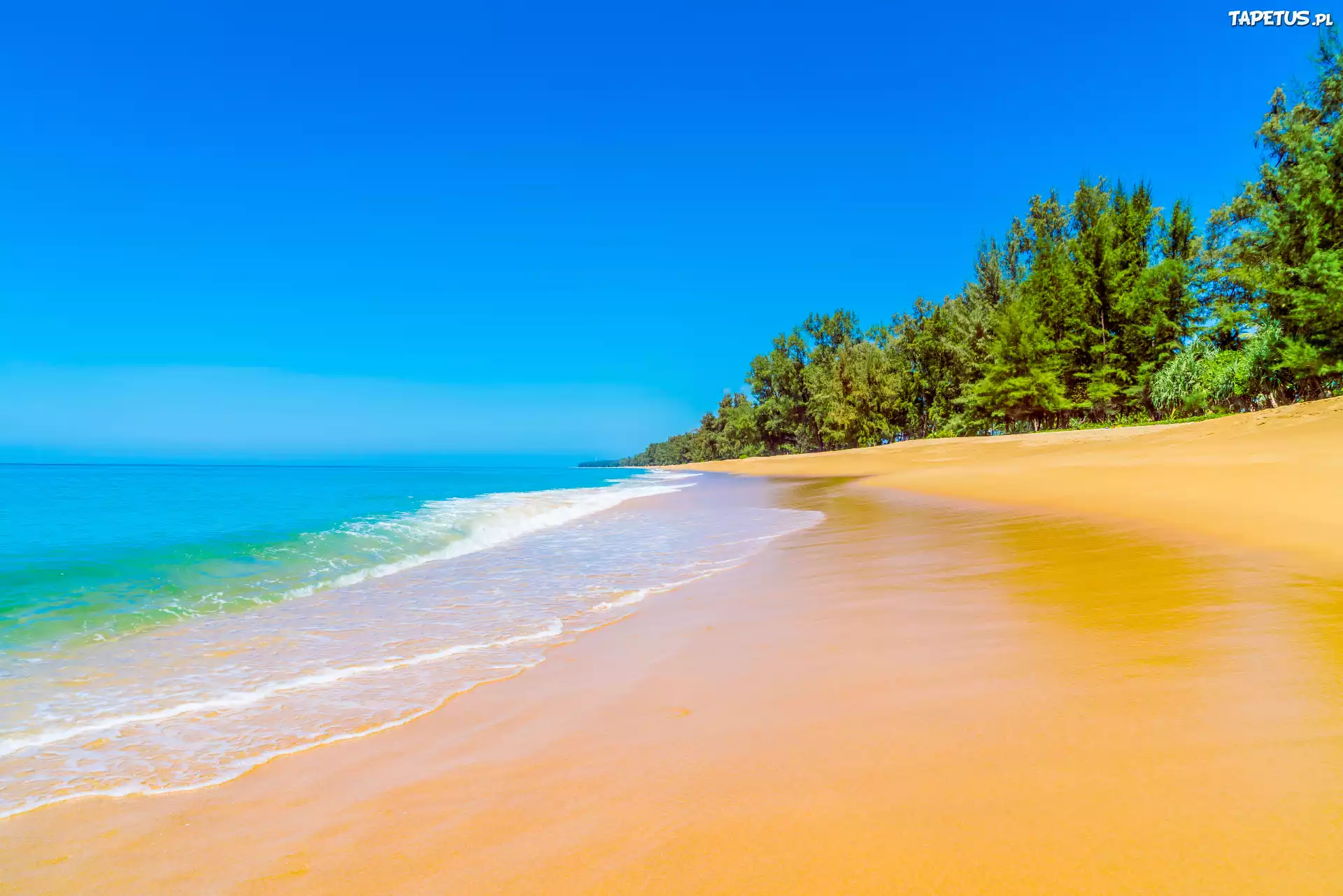 Lato, Ocean, Plaża, Piasek, Niebieskie, Niebo, Drzewa