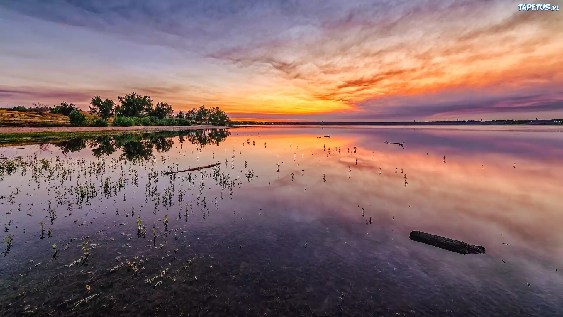 Wschód słońca, Niebo, Drzewa, Jezioro, Lake Chatfield, Park stanowy Chatfield, Kolorado, Stany Zjednoczone