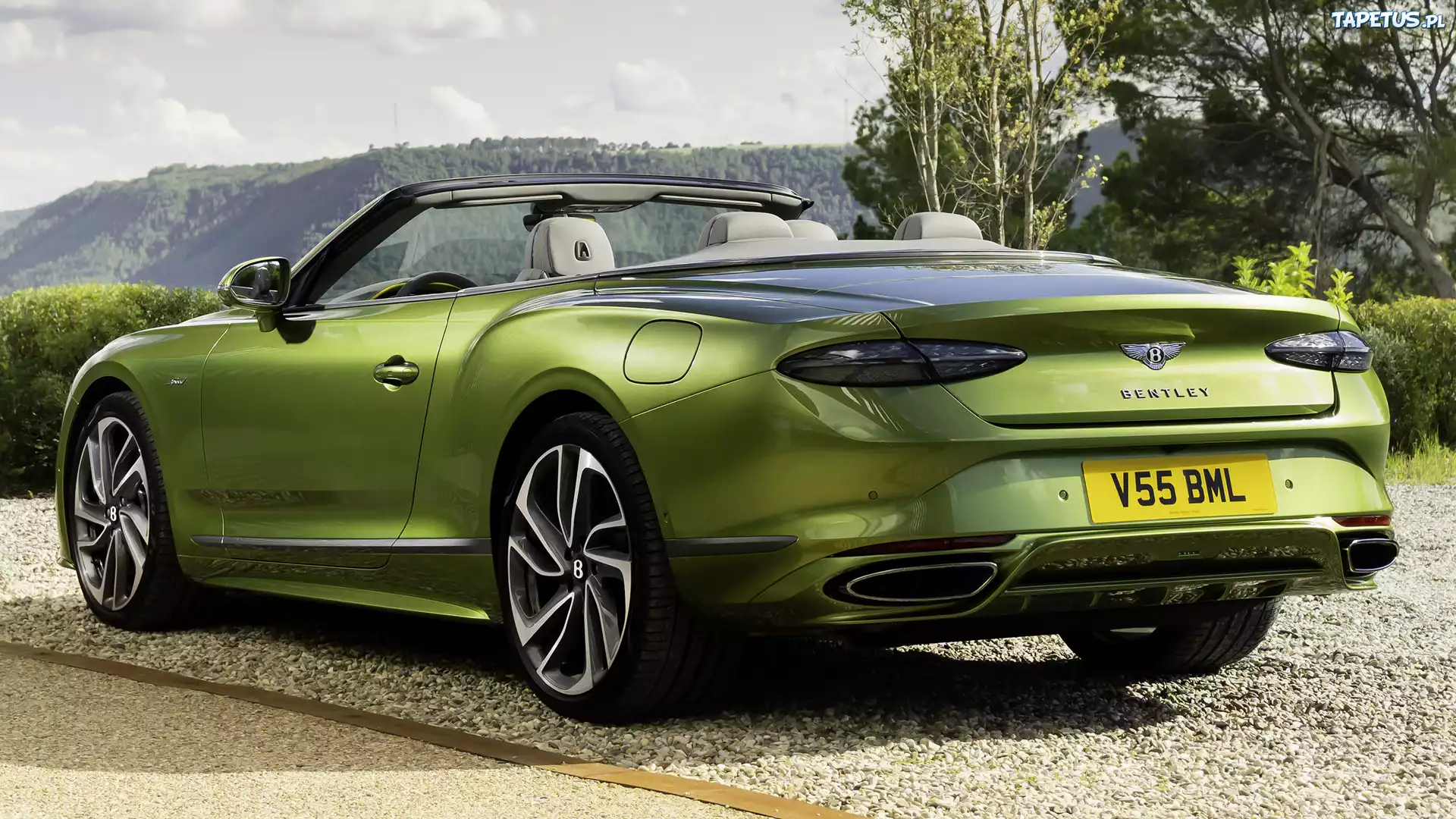 Zielony, Bentley Continental, GT, Kabriolet, Tył