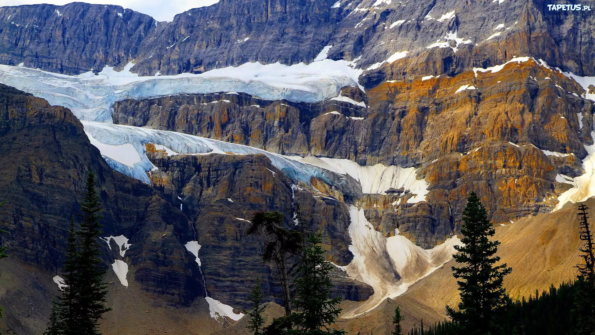 Góry, Crowfoot Mountain, Park Narodowy Banff, Drzewa, Lodowiec, Crowfoot Glacier, Alberta, Kanada