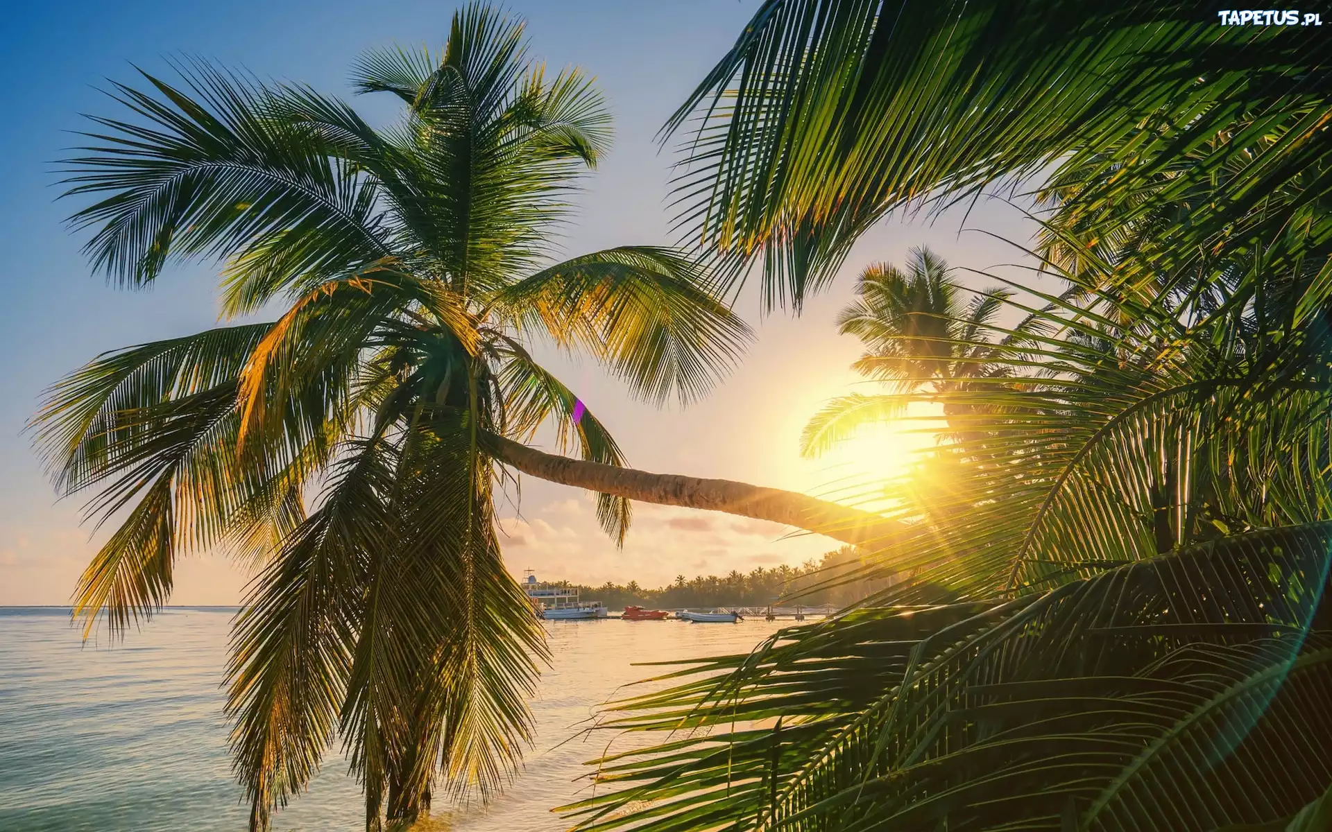 Dominikana, Punta Cana, Morze, Plaża, Palmy, Promienie słońca
