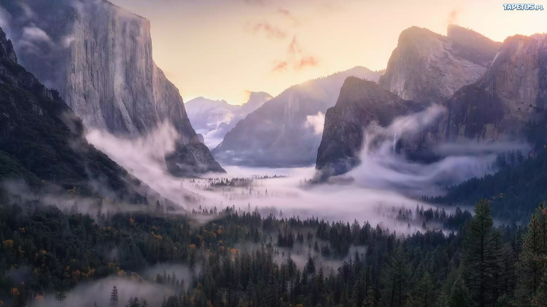 Góry, Las, Opadająca, Mgła, Yosemite Valley, Park Narodowy Yosemite,
Kalifornia, Stany Zjednoczone