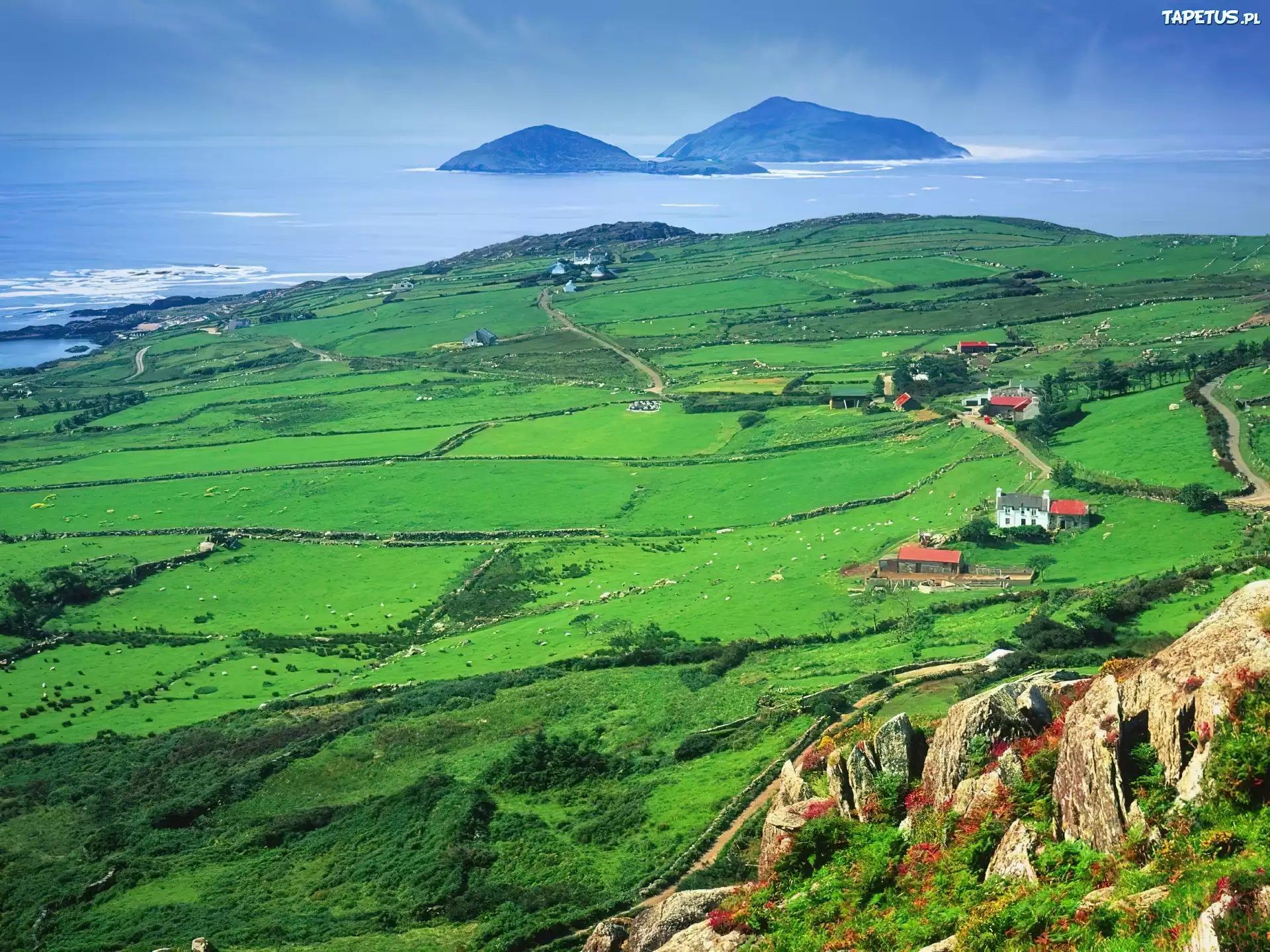 Irlandia, łąka, Góra, Europa