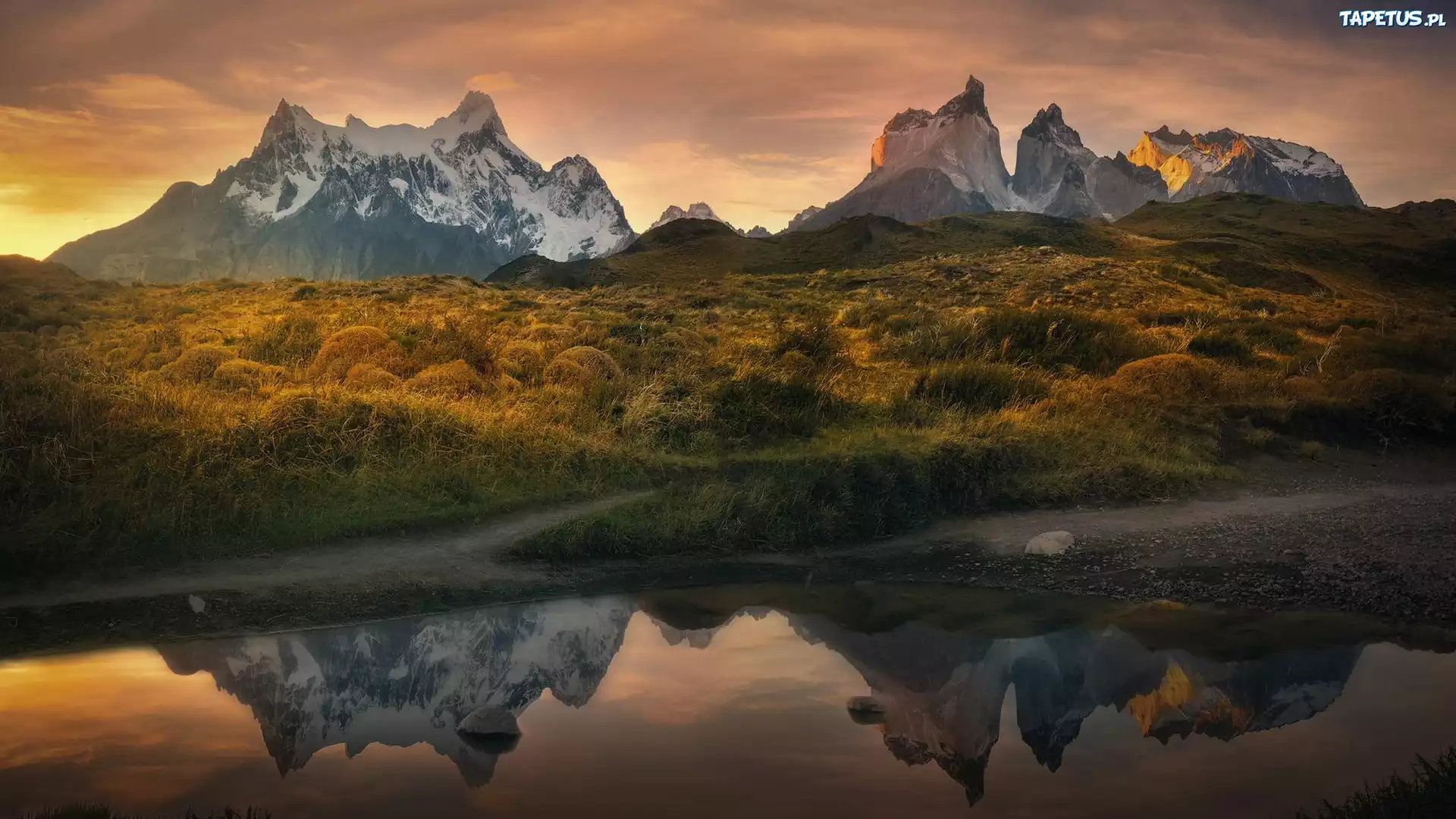 Chile, Patagonia, Góry, Torres del Paine, Rzeka, Jesień, Roślinność