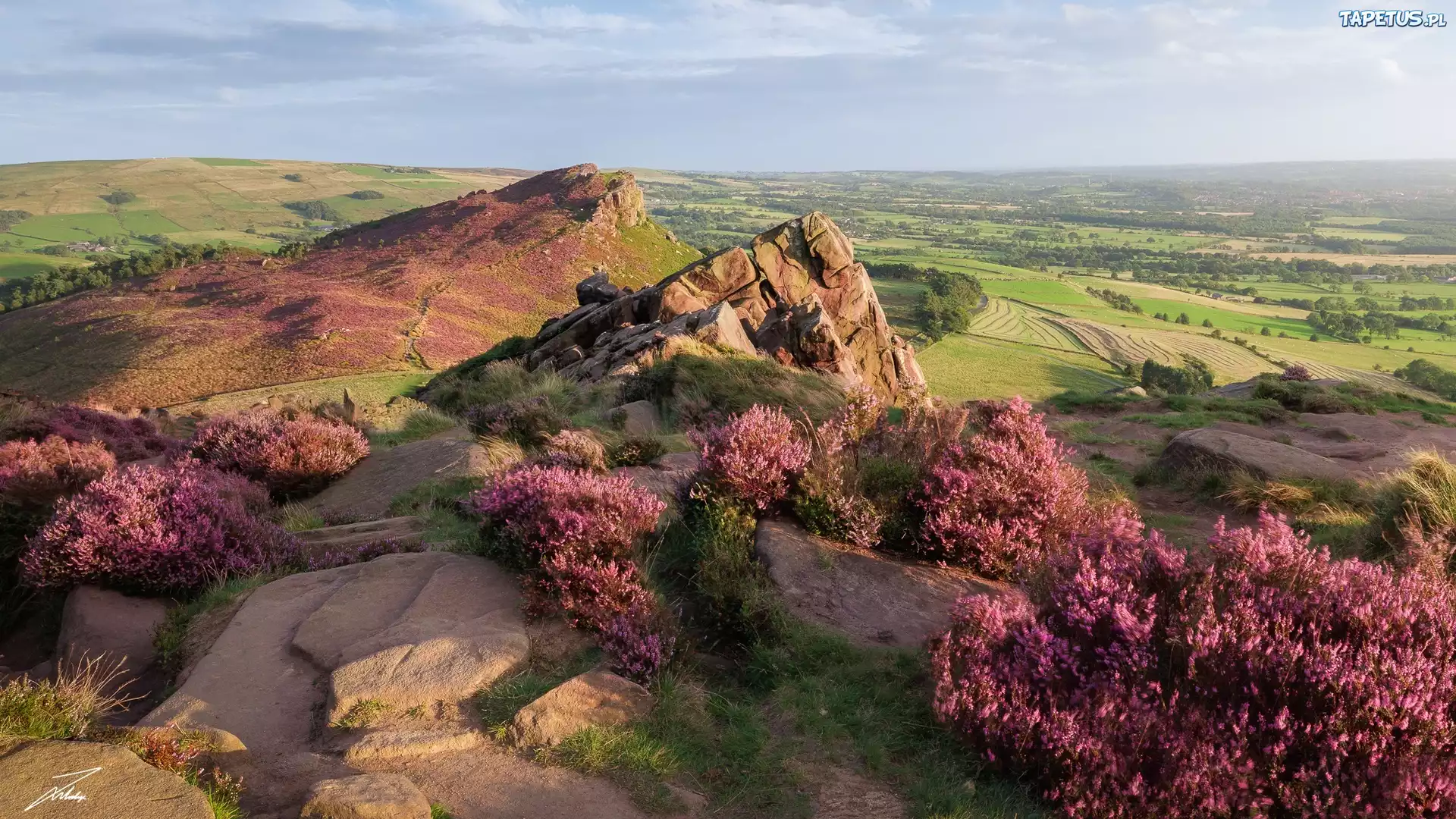 Wysokie, Skały, Wrzosy, Pola, Łąki, Drzewa, Park Narodowy Peak District, Anglia