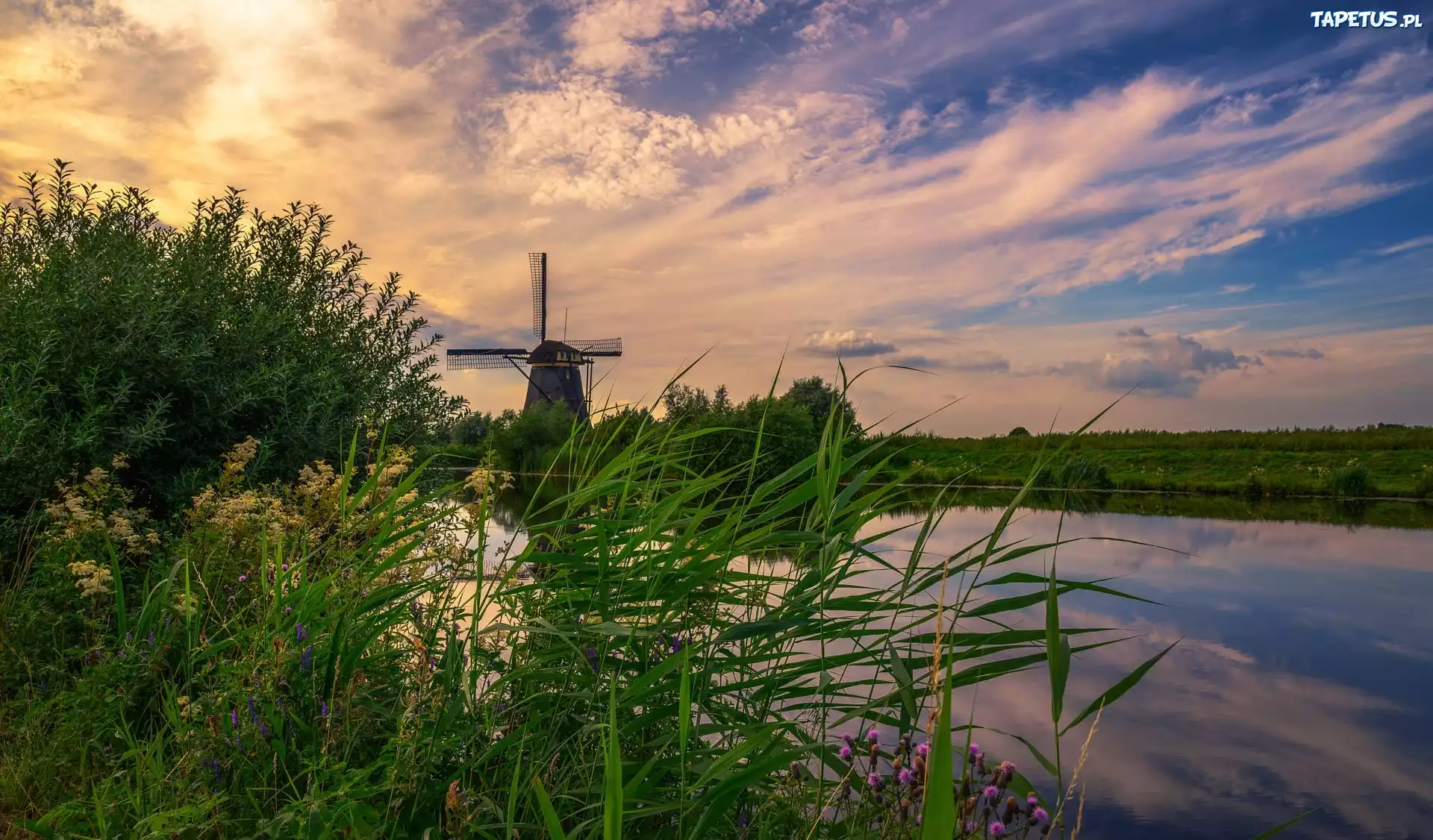 Wiatrak, Rzeka, Wieś Kinderdijk, Drzewa, Roślinność, Zachód słońca, Chmury, Holandia