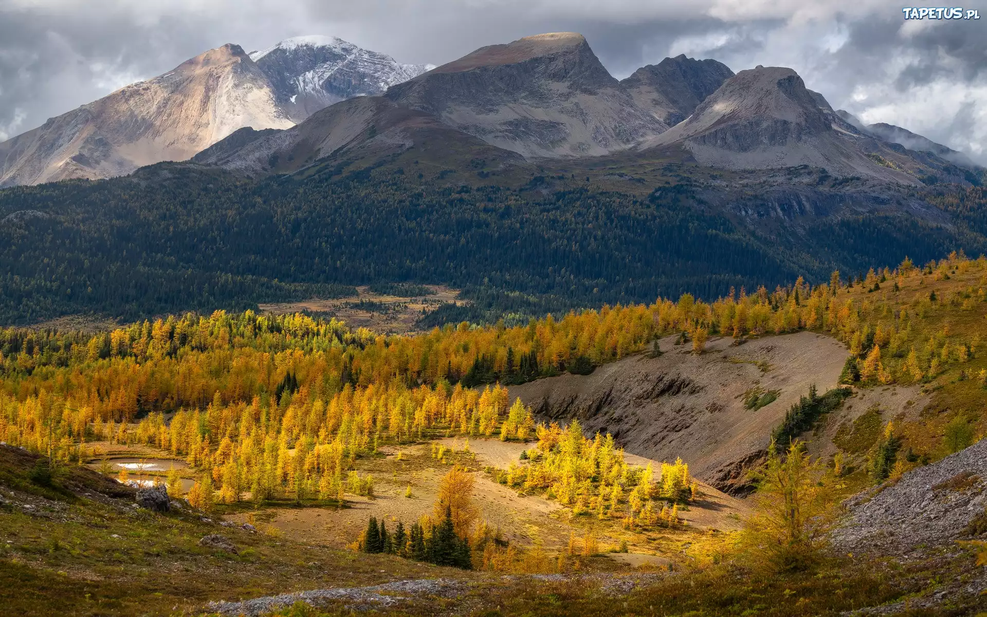 Góry, Góra, Nub Peak, Las, Drzewa, Jesień, Chmury, Park prowincjonalny Mount Assiniboine, Kolumbia Brytyjska, Kanada