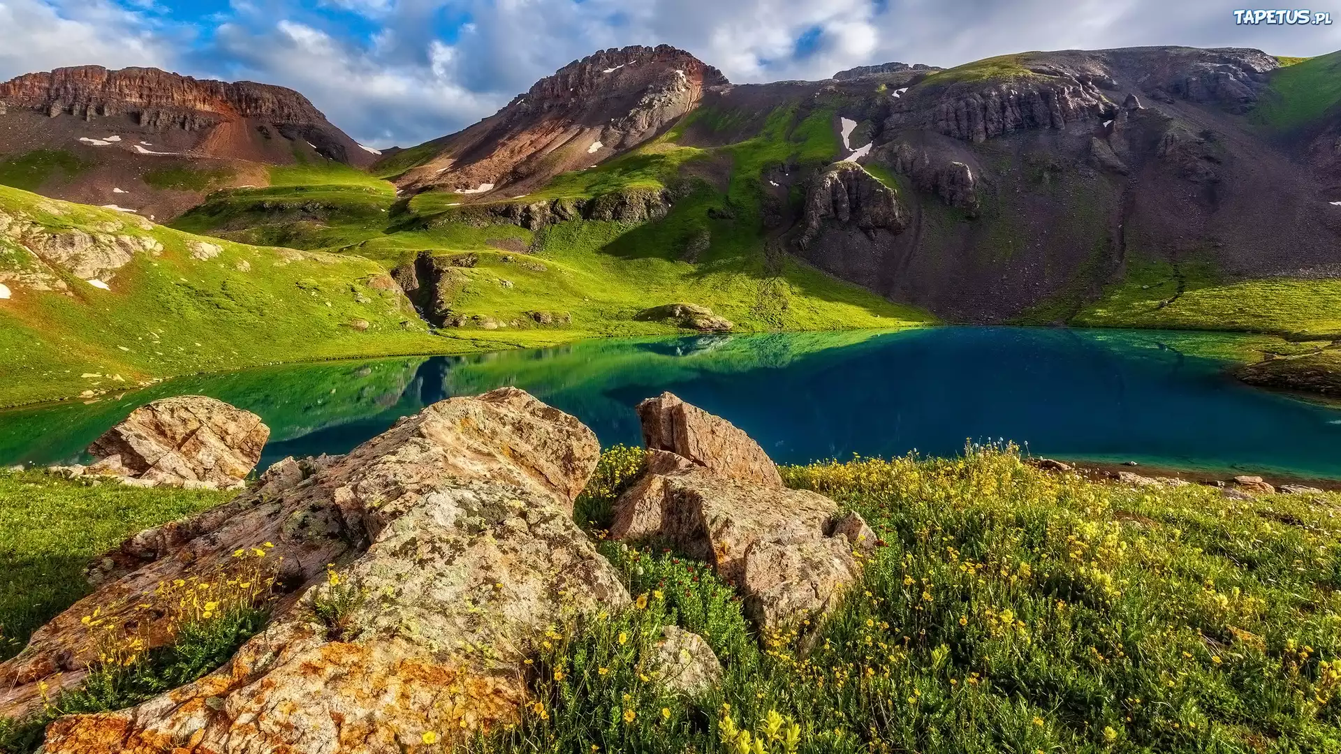 Góry, Kwiaty, Jezioro, Lake Basin, San Juan, Kolorado, Stany Zjednoczone