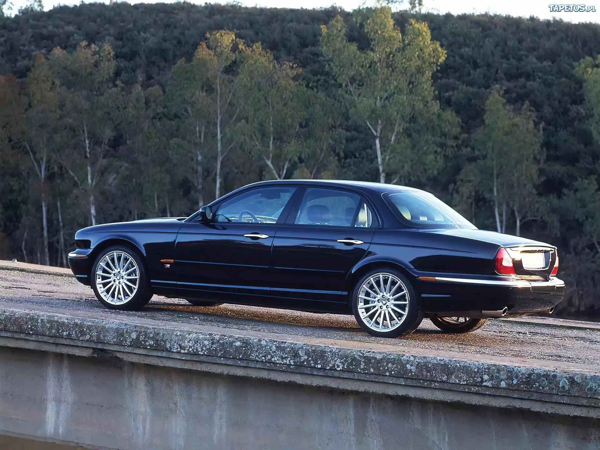 Czarny, Jaguar X-Type