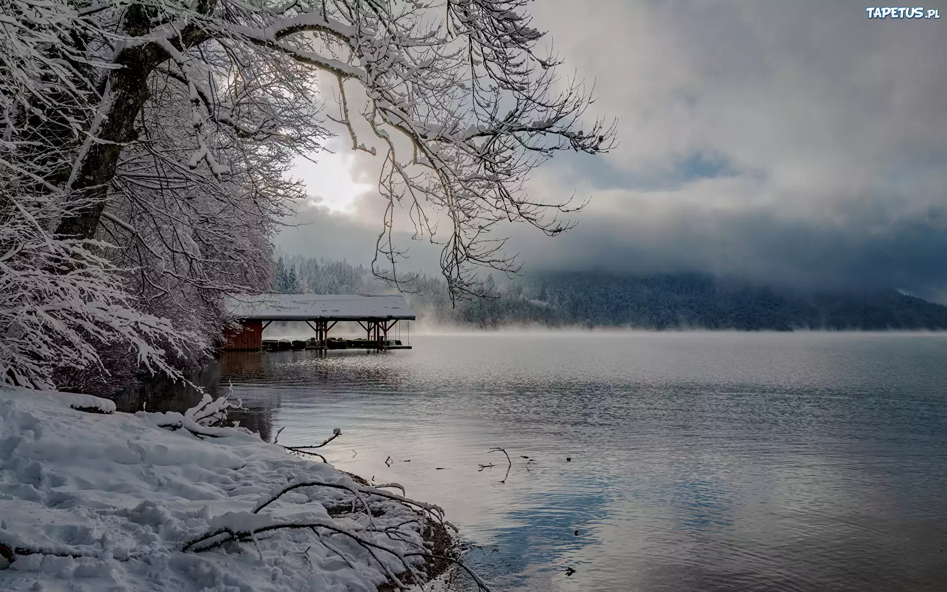 Niemcy, Bawaria, Zima, Jezioro Alpsee, Drzewa, Gałązki, Śnieg, Mgła, Chmury