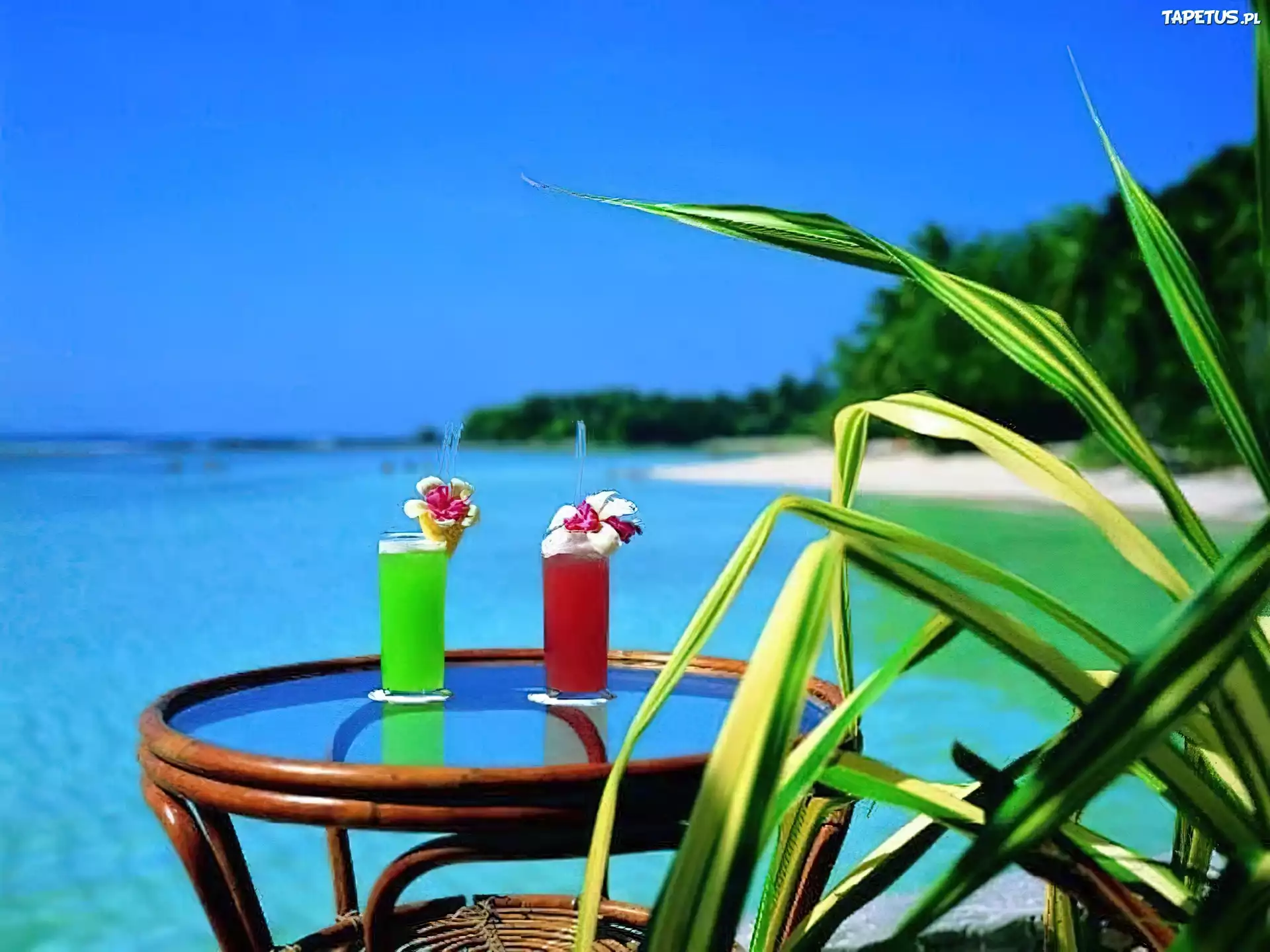 Plaża, Morze, Czerwony i Zielony Drink