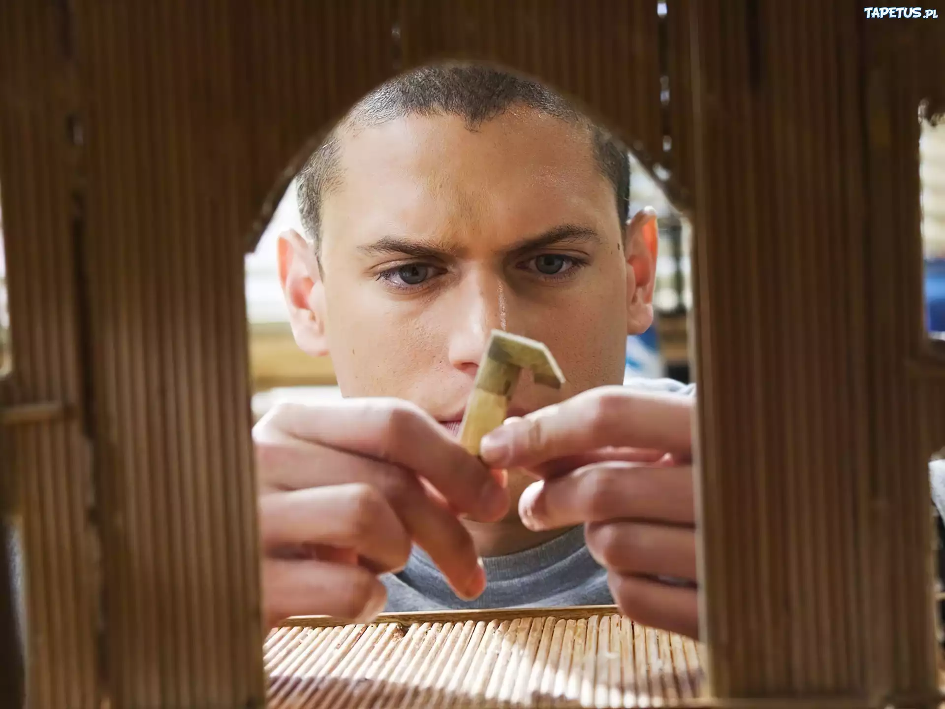 Prison Break, Wentworth Miller, projekt