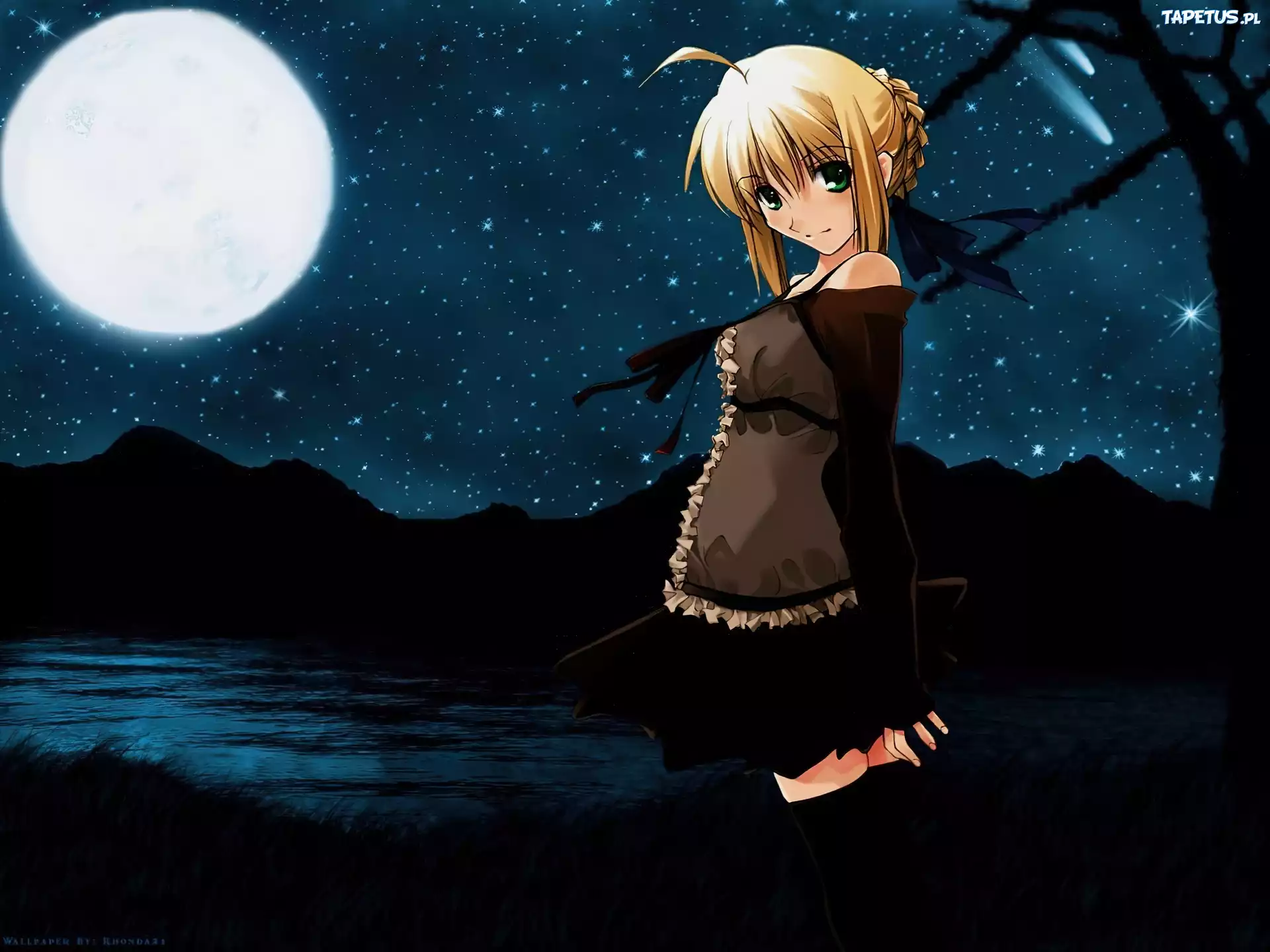 Fate Stay Night, dziewczyna, księżyc, noc