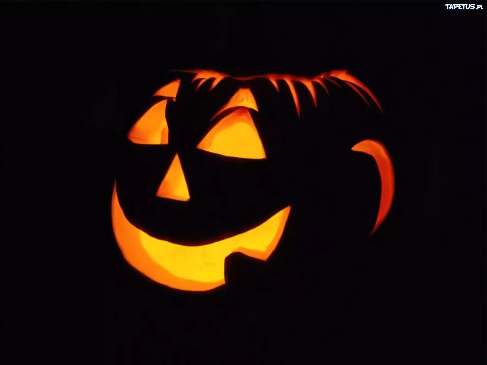 Halloween,dynia