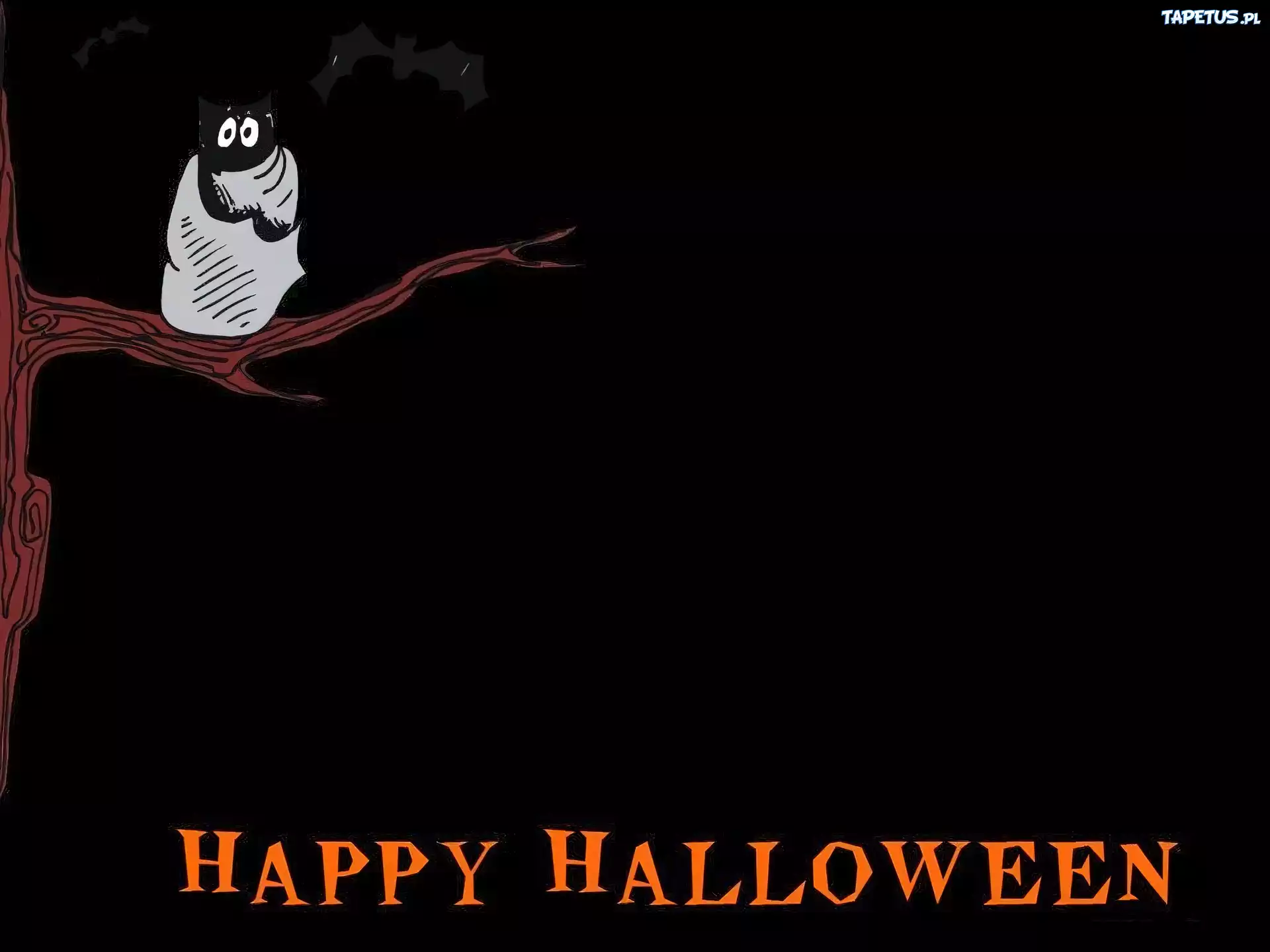 Halloween,sowa