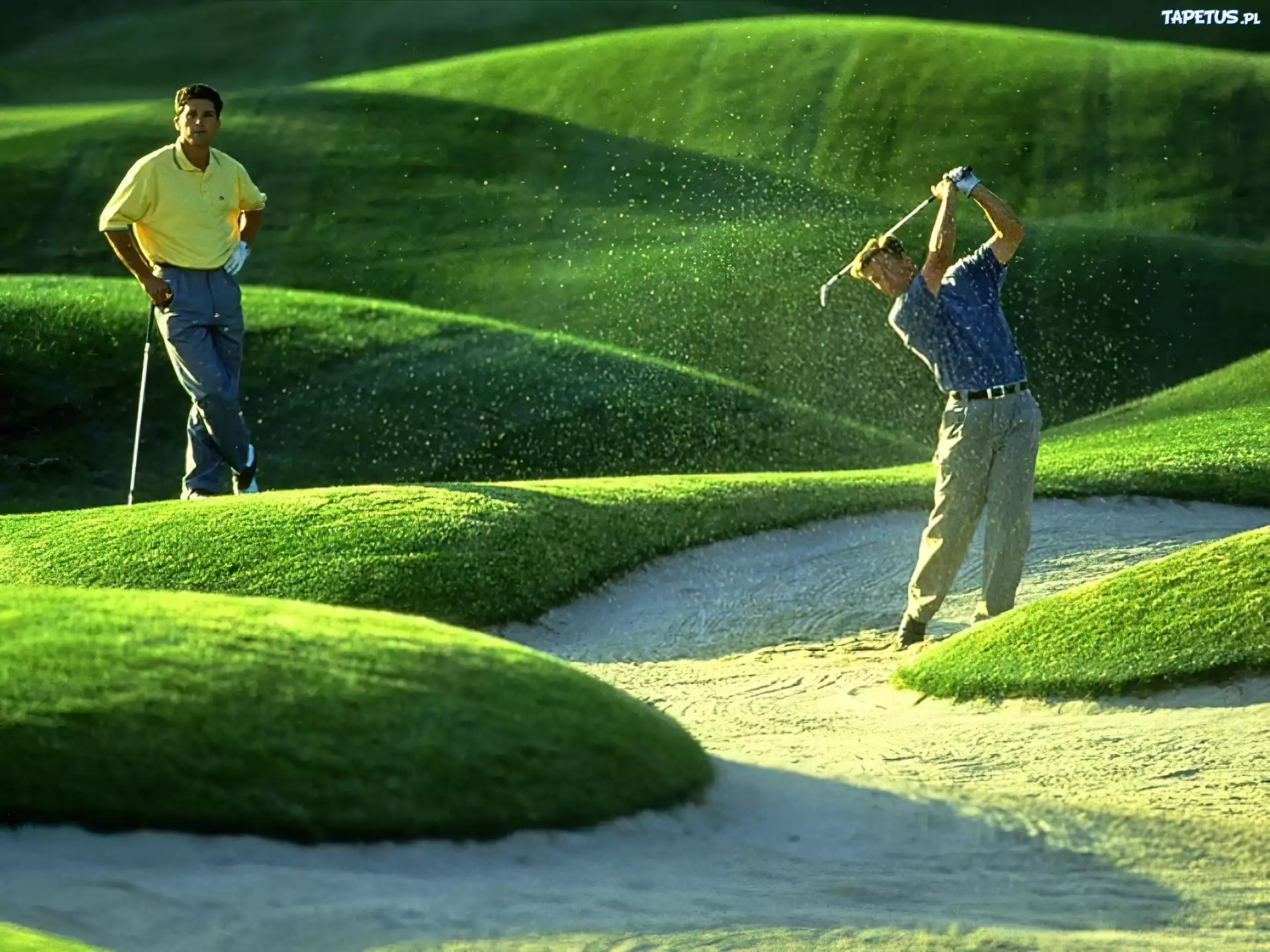 Sportowe Golf,pole golfowe, golfiści