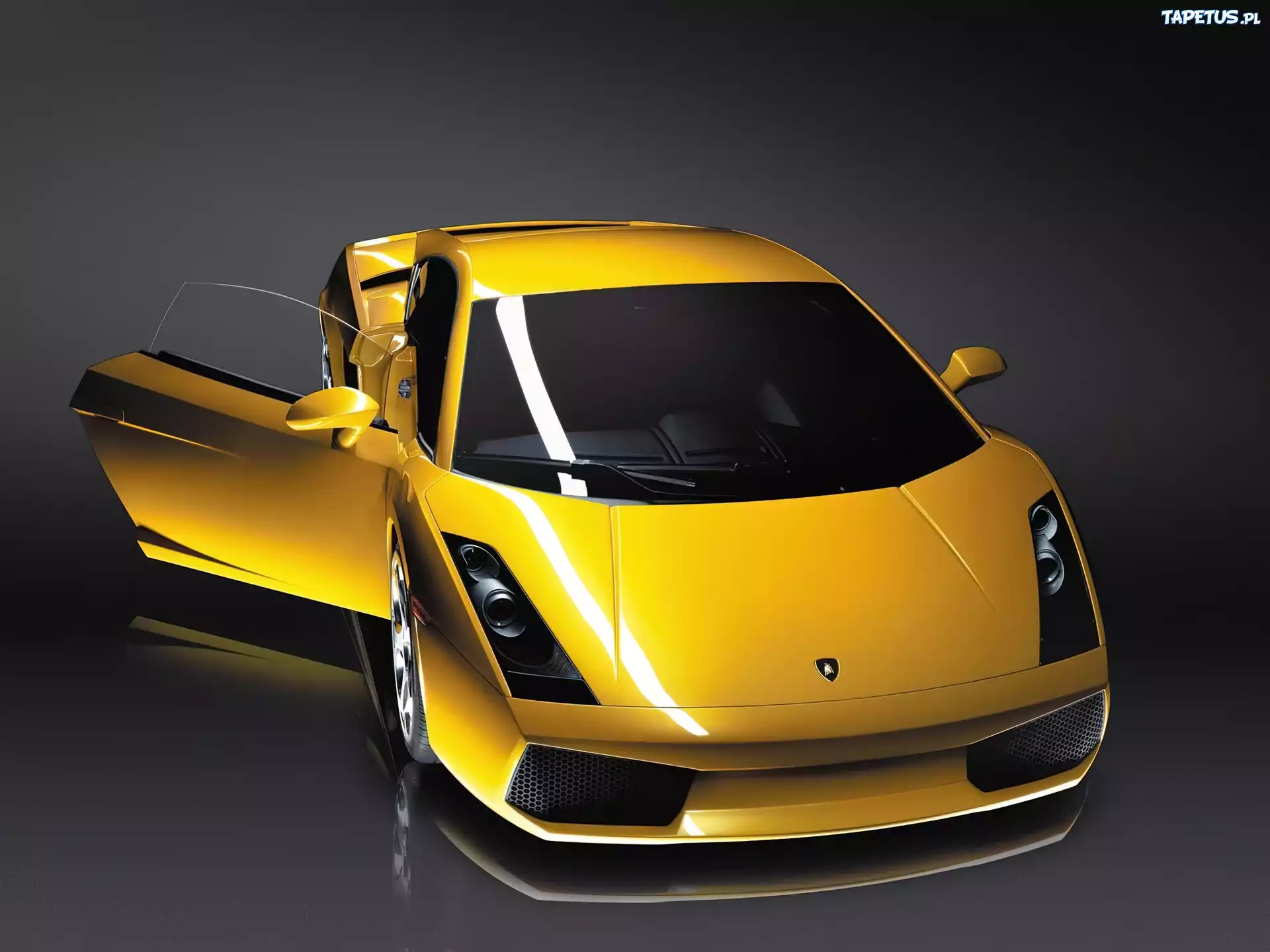 Lamborghini Gallardo