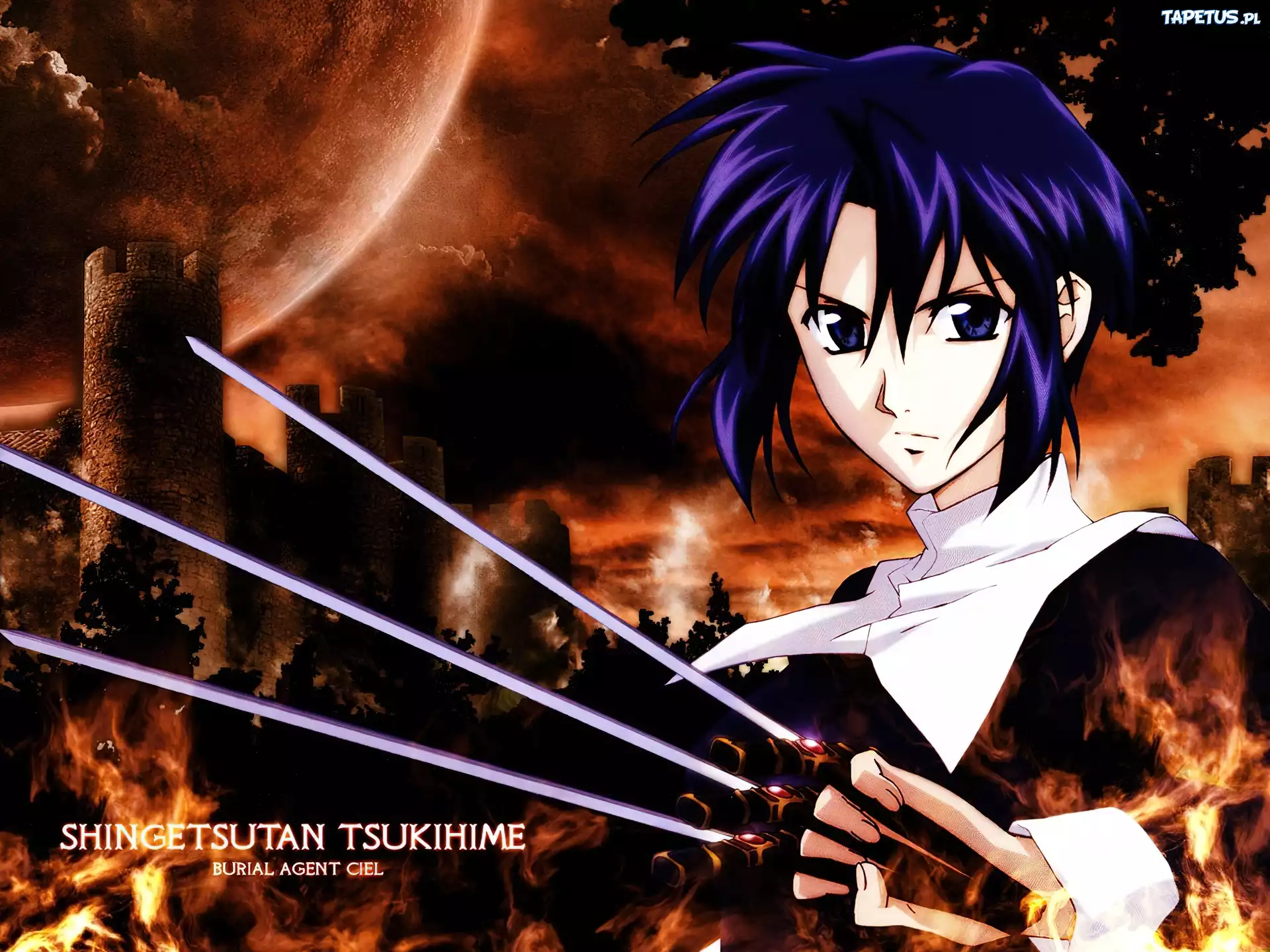 Shingetsutan Tsukihime, miecze, zamek