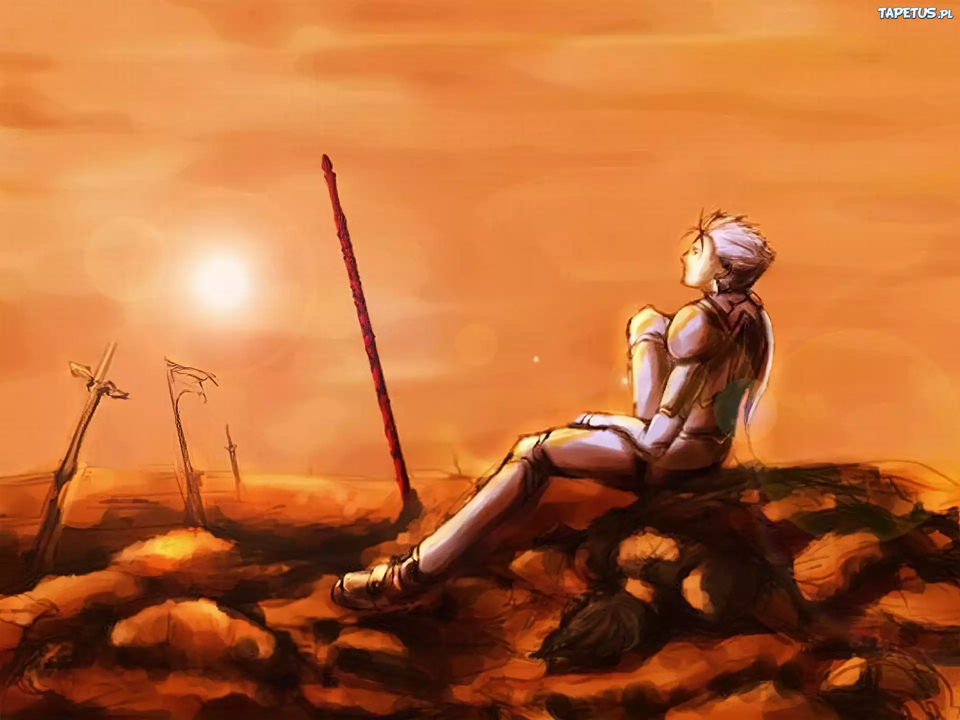 Fate Stay Night, postać, kij, krzyże