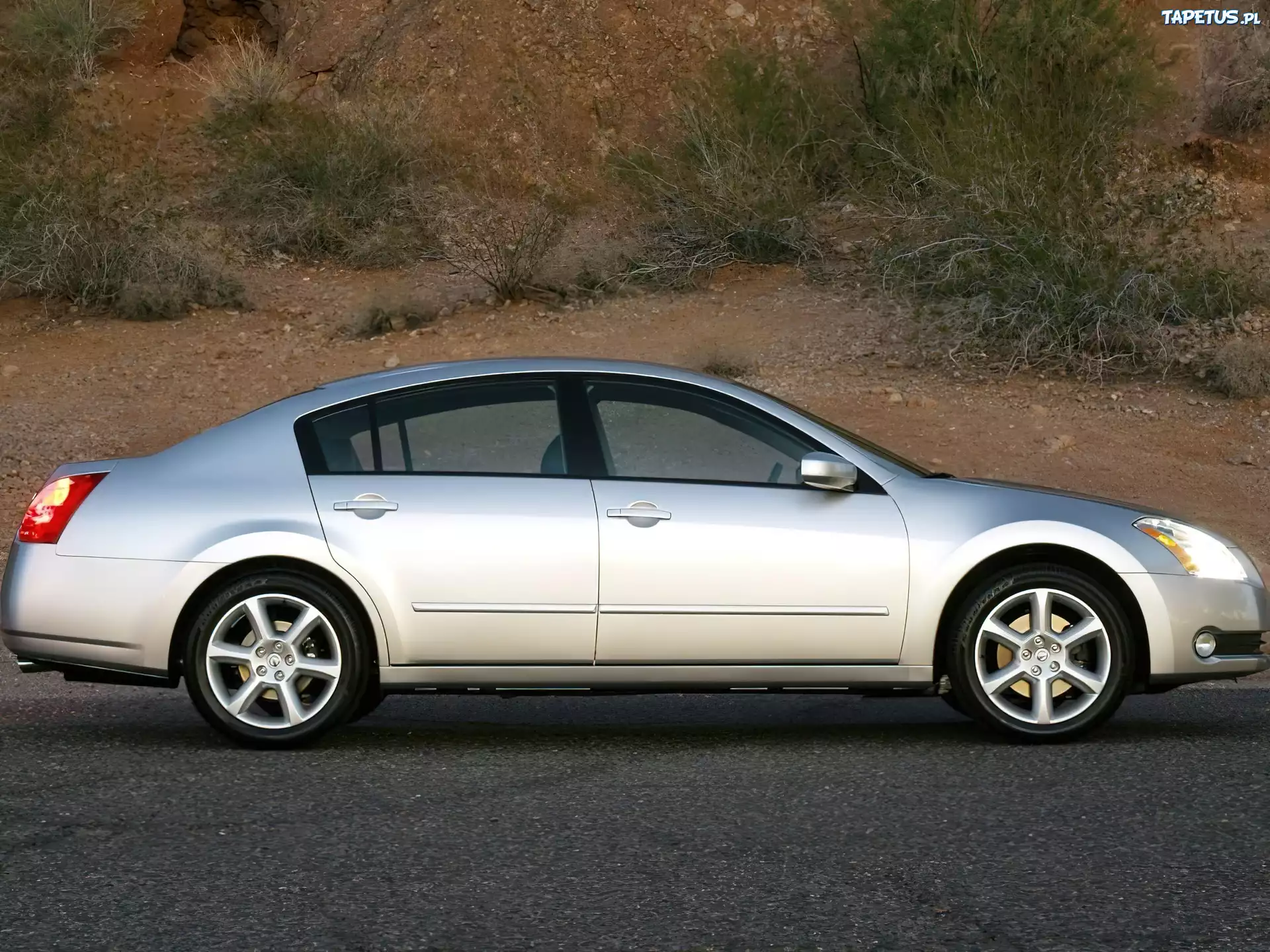 Srebrny, Nissan Maxima