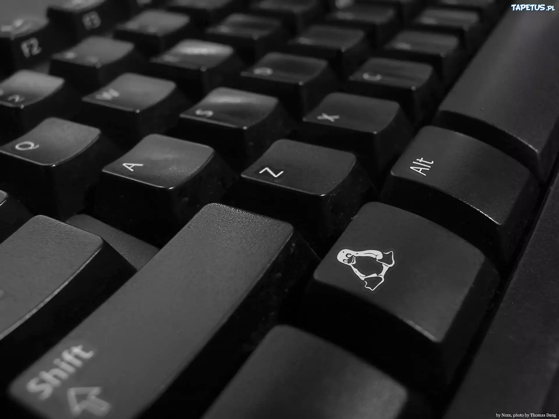 pingwin, klawiatura, Linux