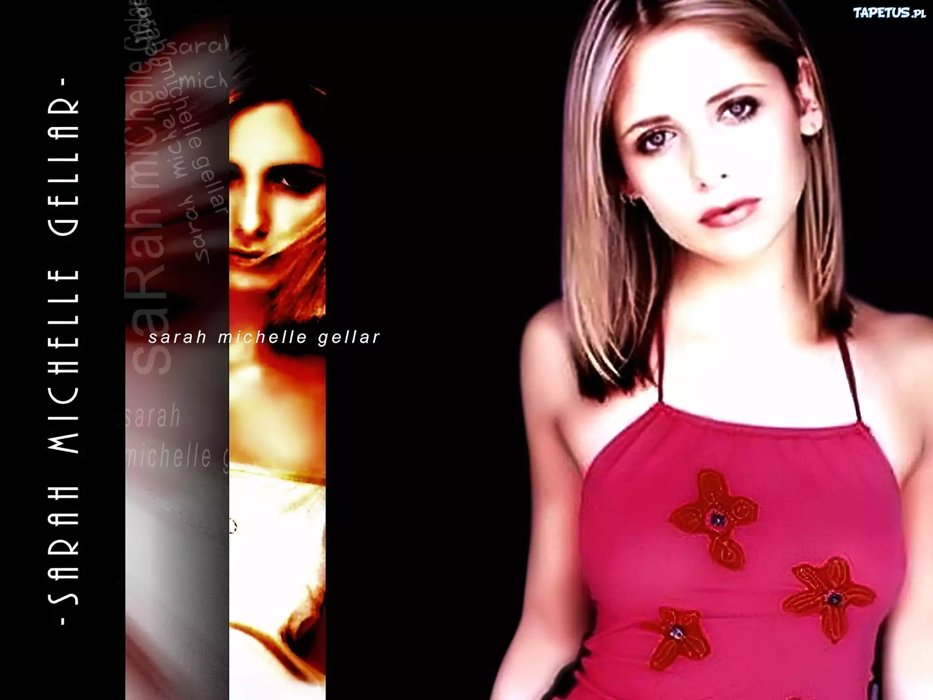 Sarah Michelle Gellar