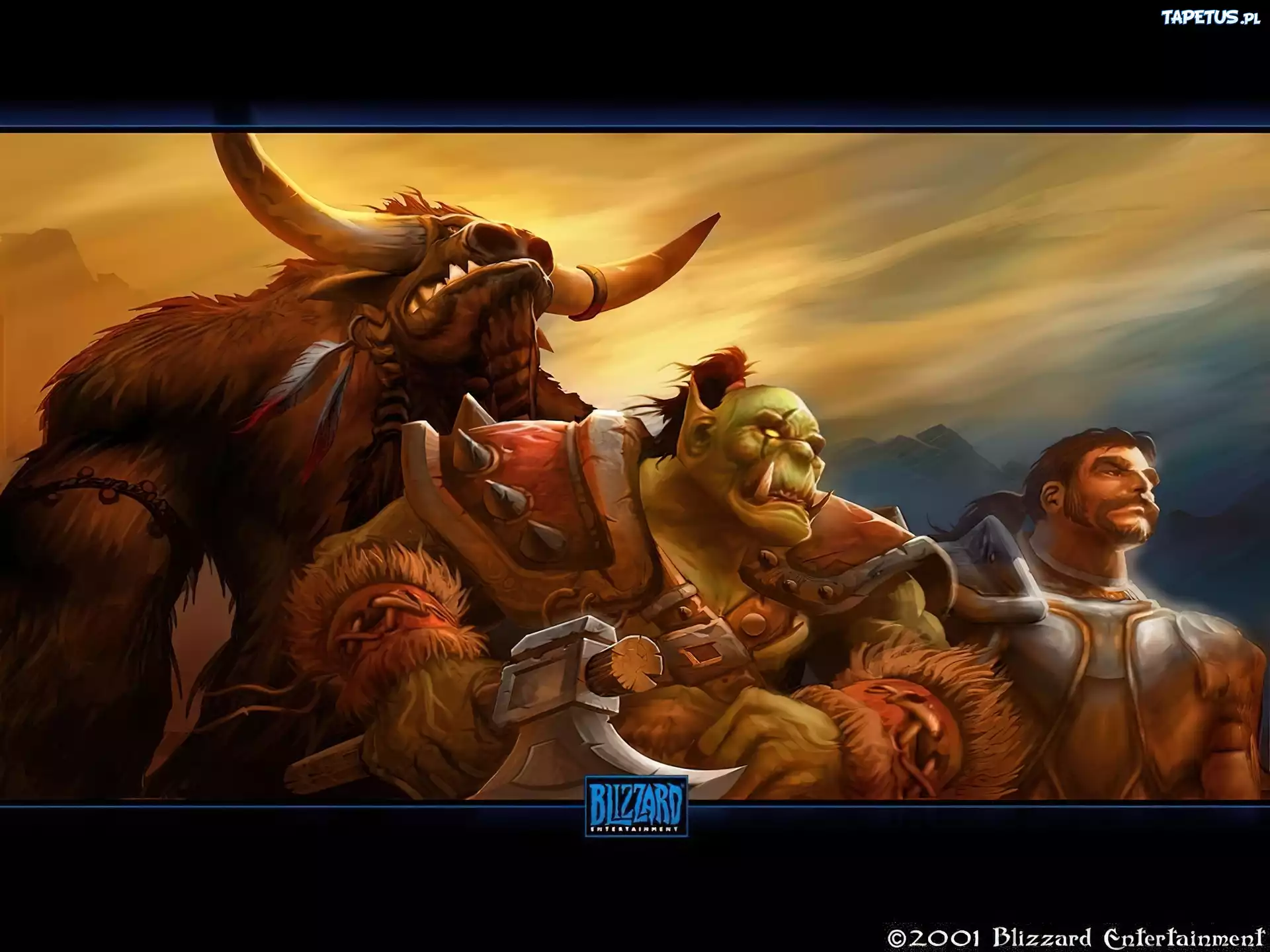 World Of Warcraft, postacie, topór, fantasy
