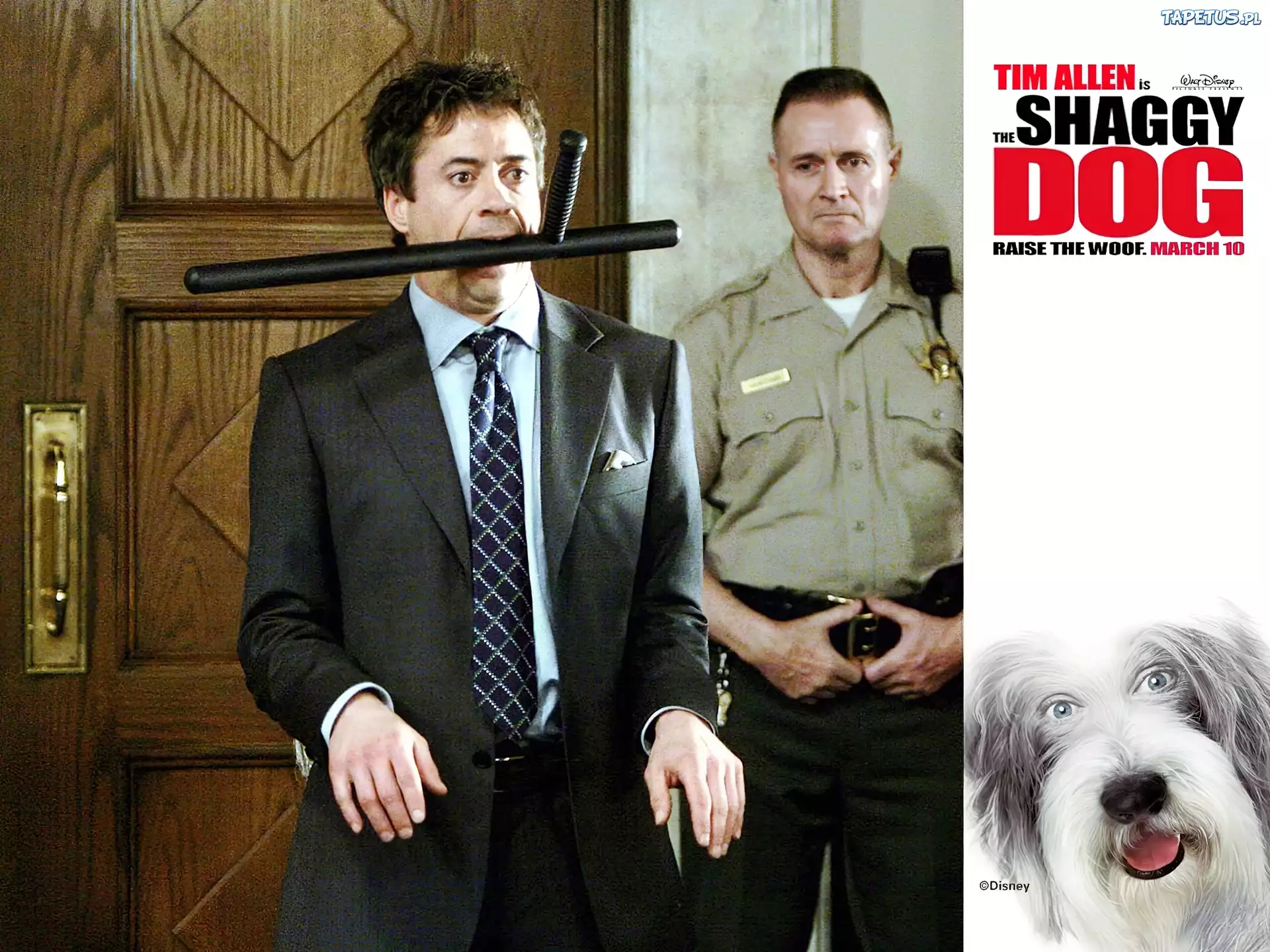 The Shaggy Dog, pałka, pies, policjant, garnitur