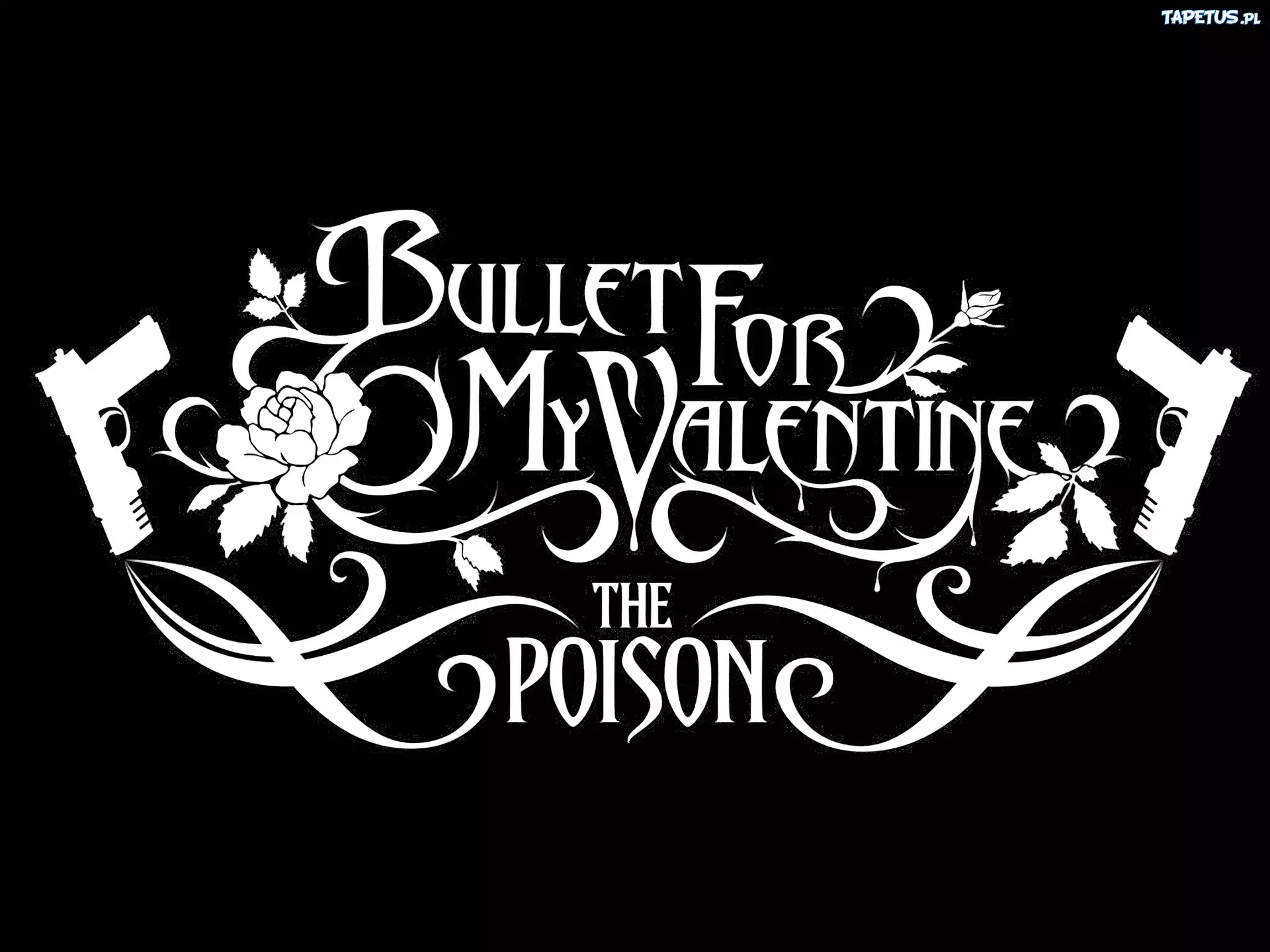 Bullet For My Valentine,pistolety