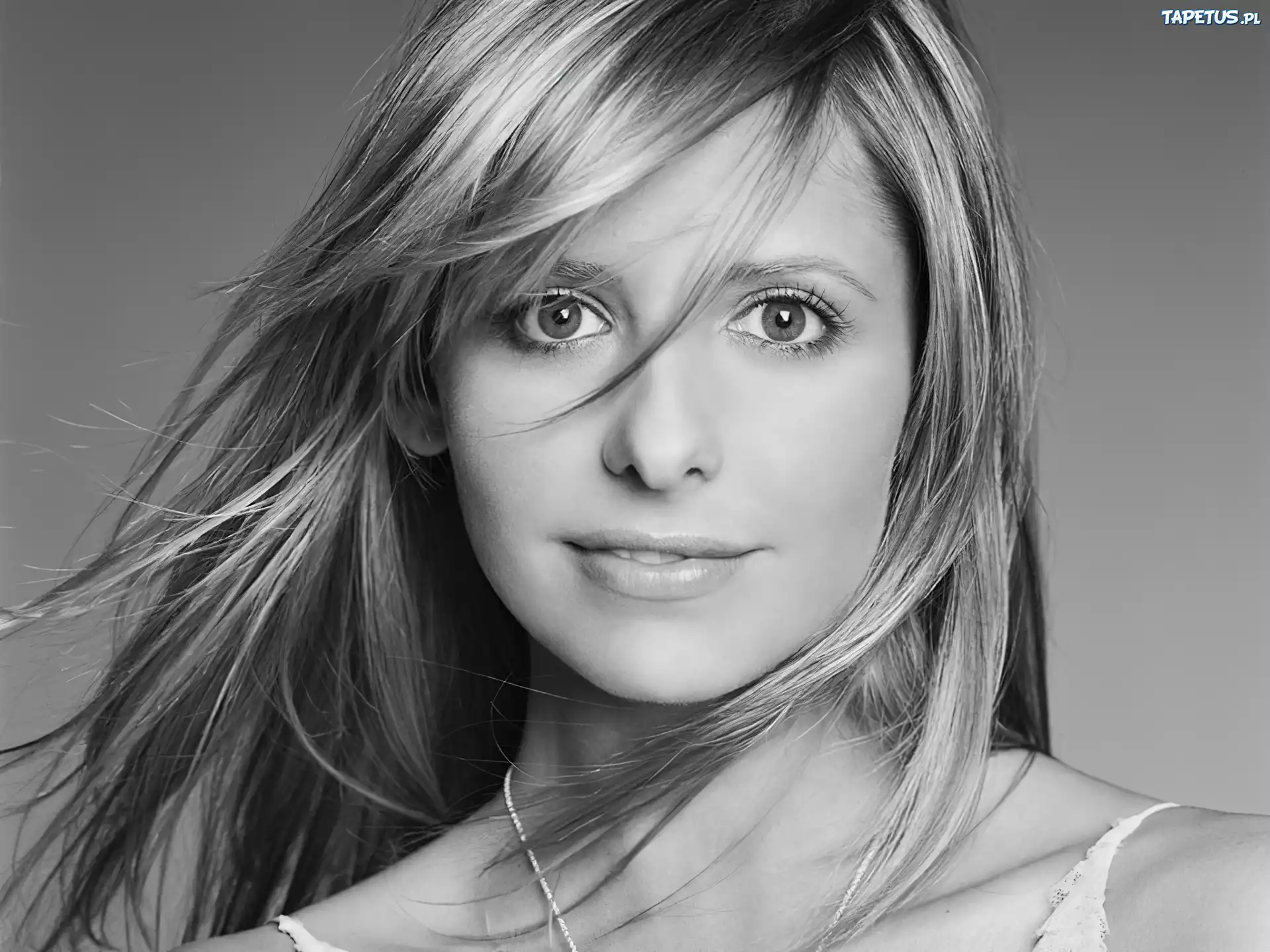Sarah Michelle Gellar