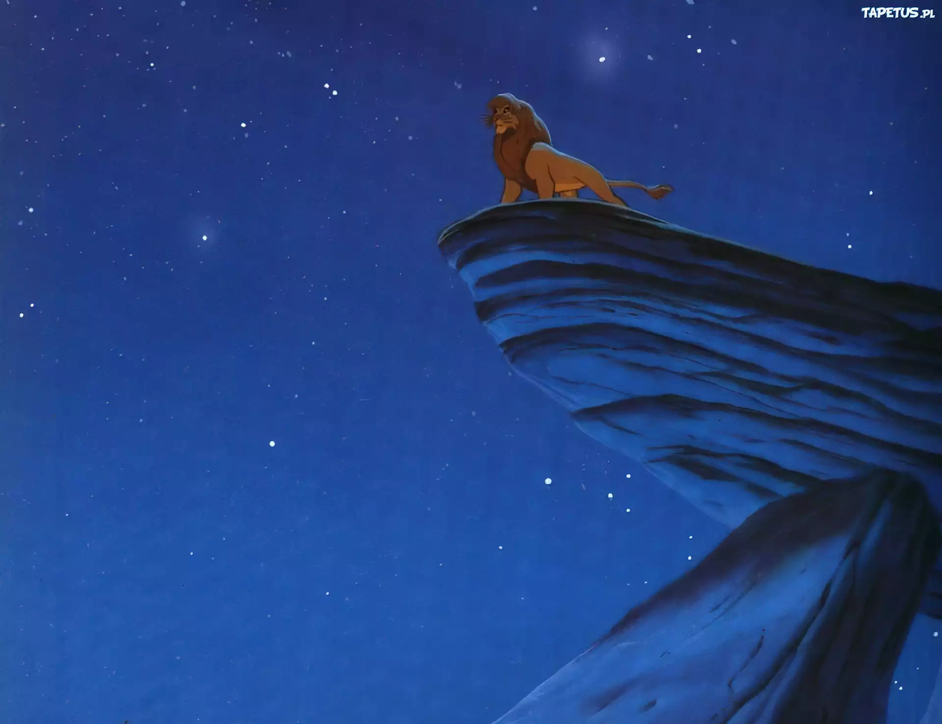 Mufasa, noc, skała
