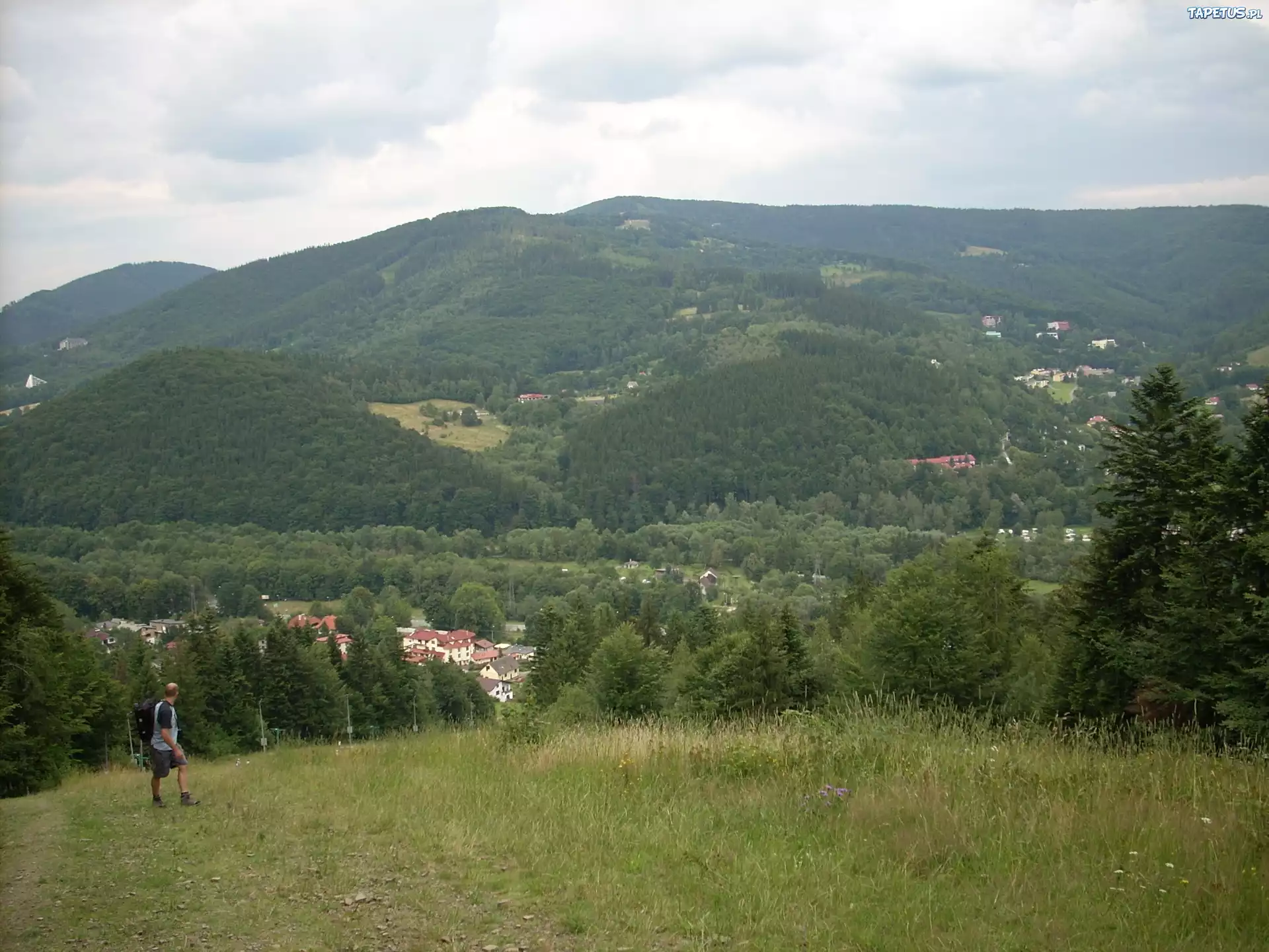 Góry,drzewa , lasy