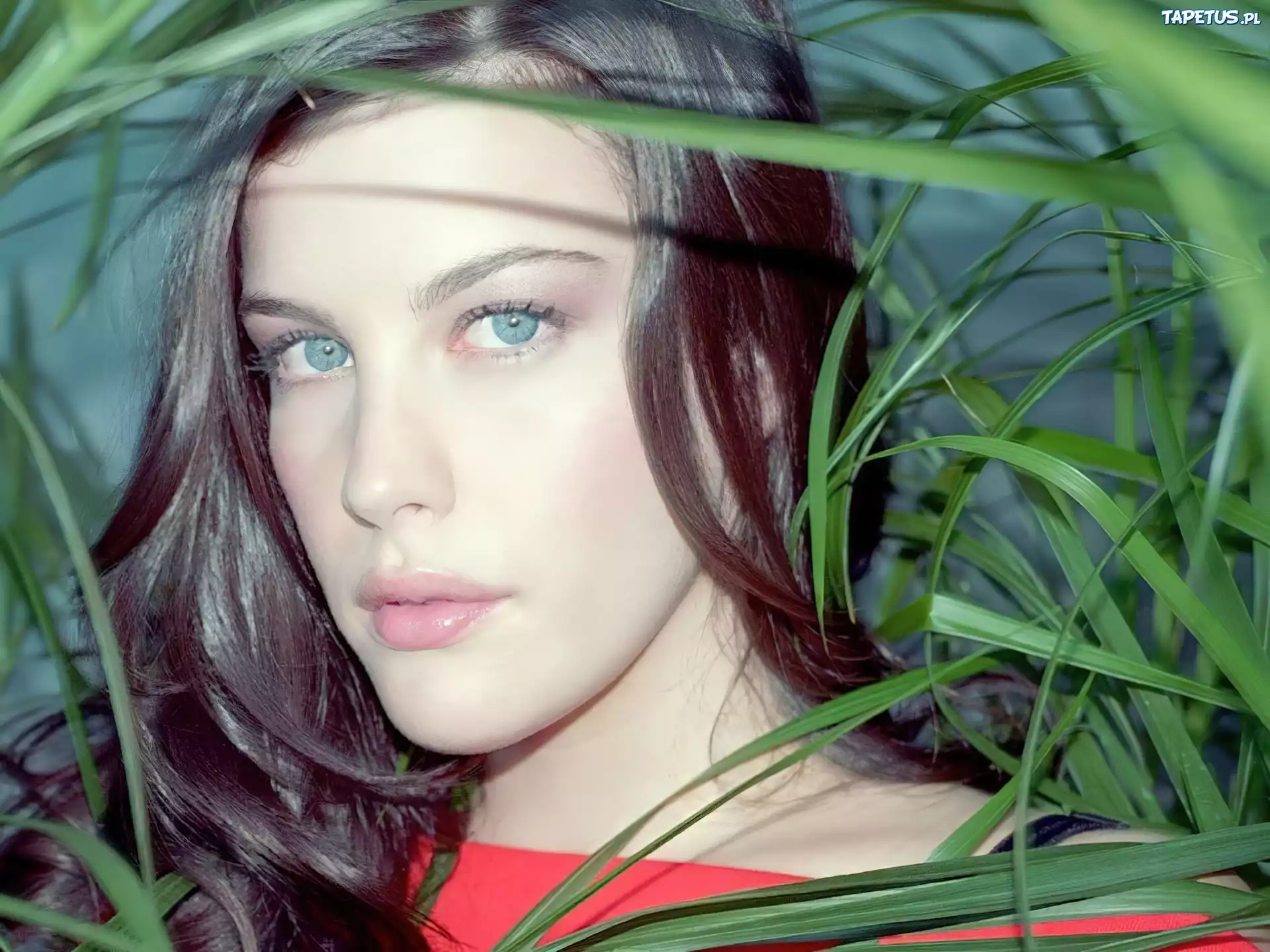 Liv Tyler