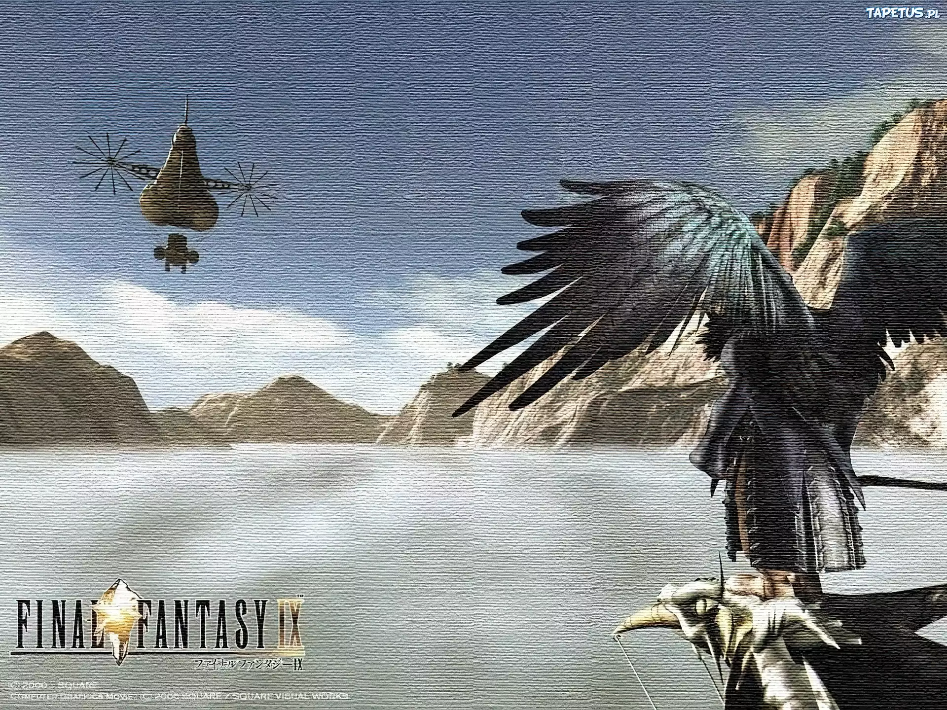góry, postać, ptak, skrzydła, Final Fantasy