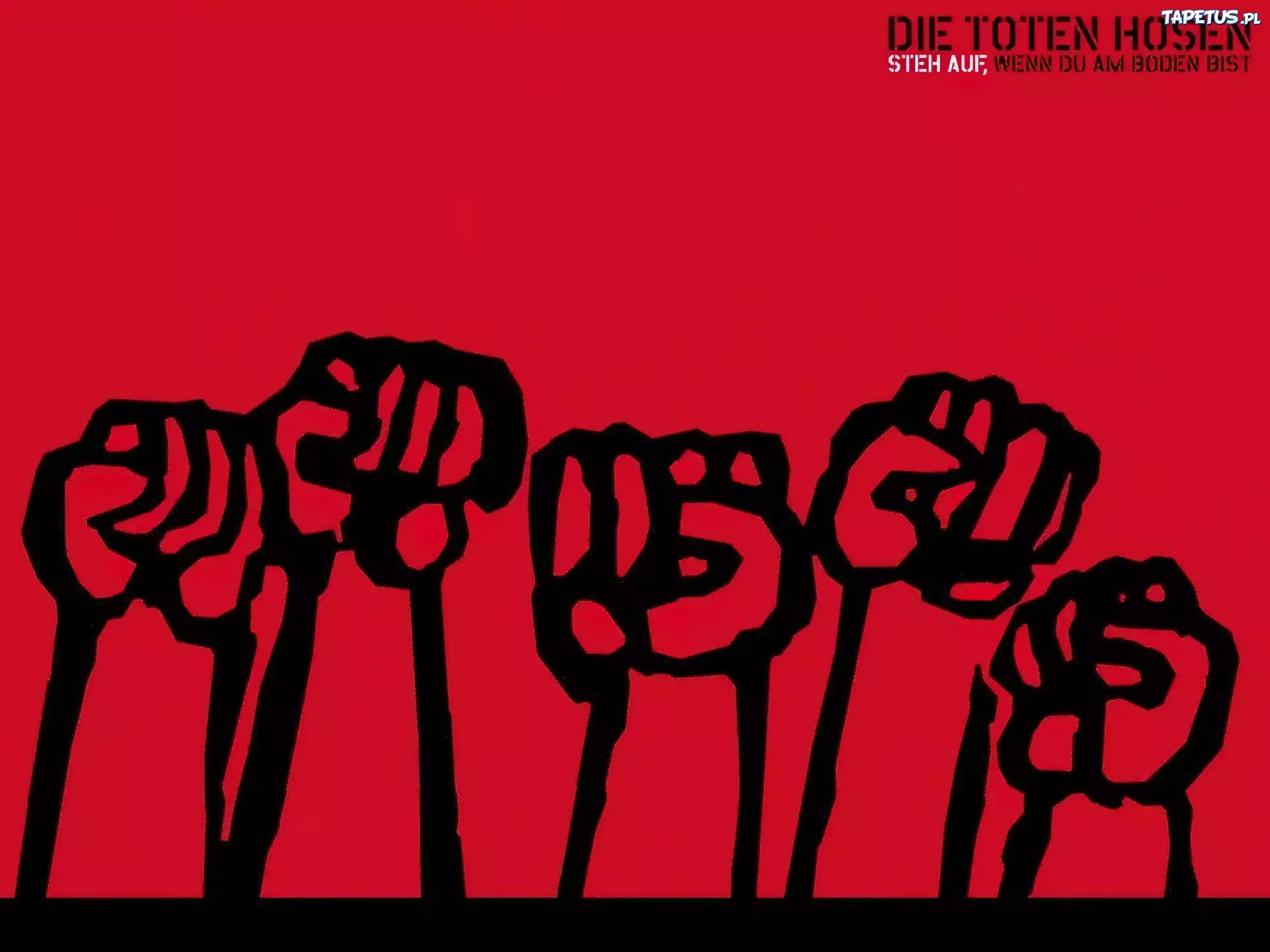 Die Toten Hosen,pięści