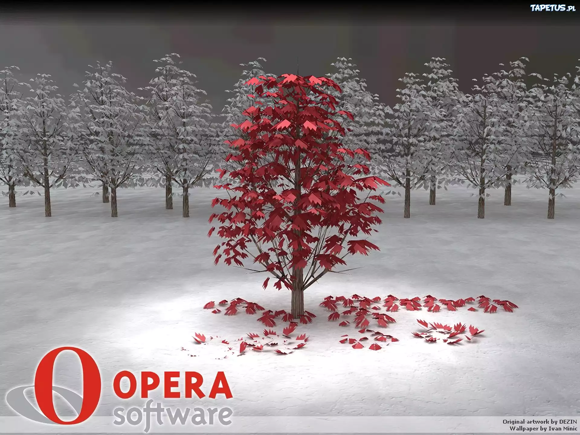 Opera, drzewa, las, grafika