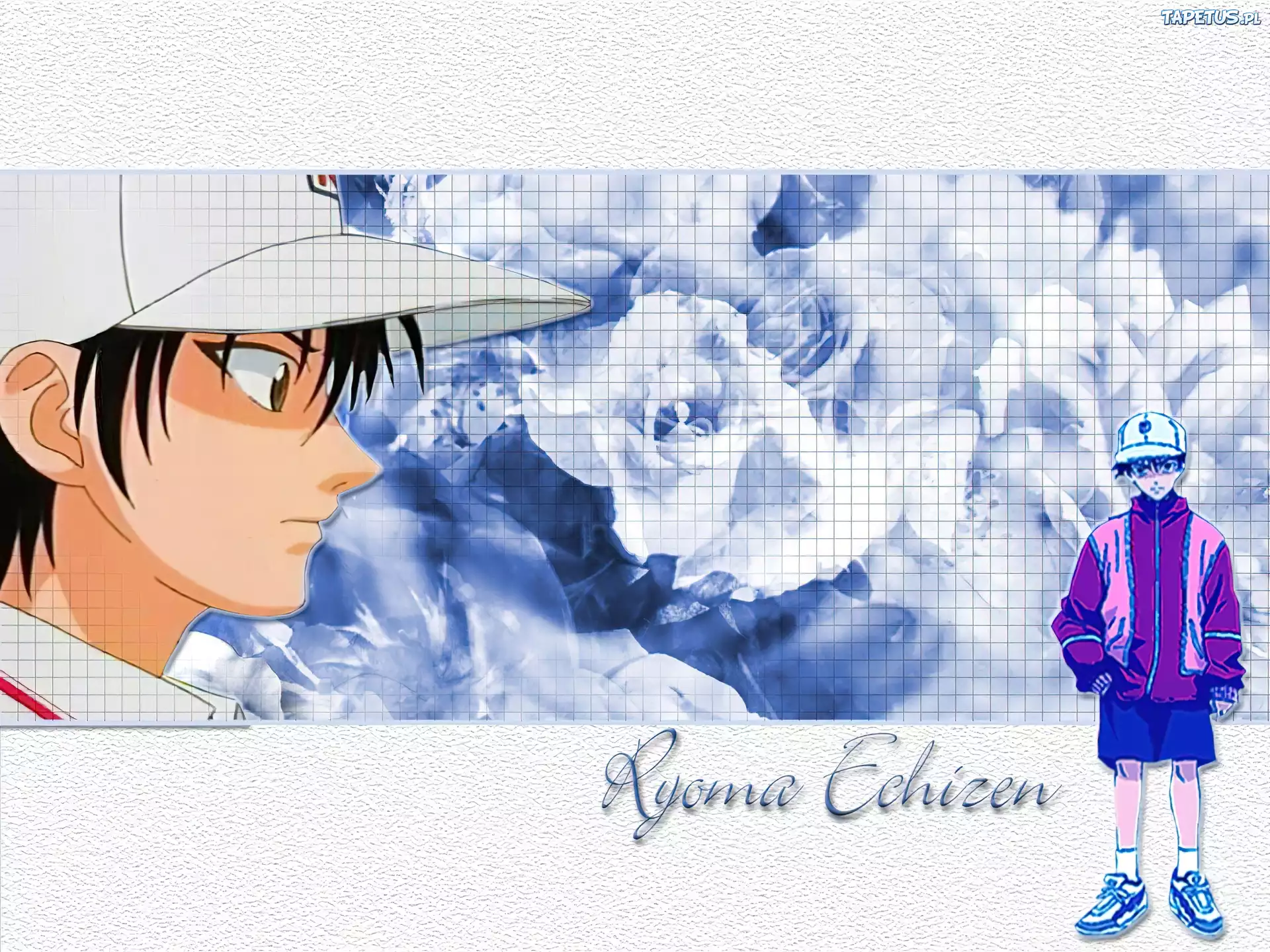The Prince Of Tennis, Ryoma Echizen, profil twarzy