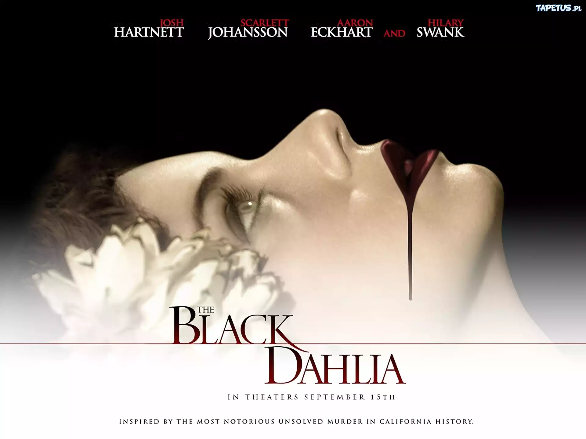 Black Dahlia, twarz, kobiety, szminka