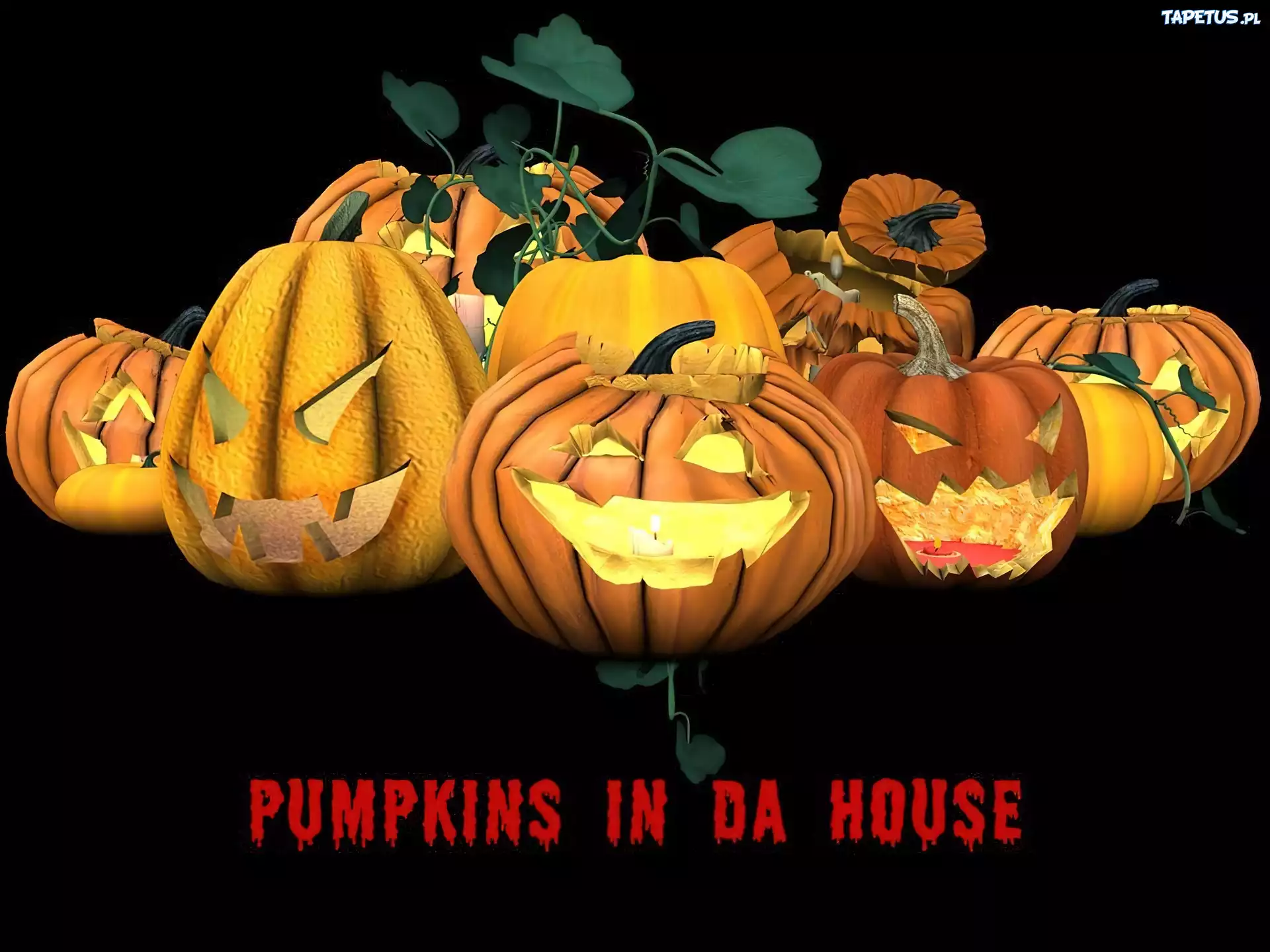 Halloween,dynie