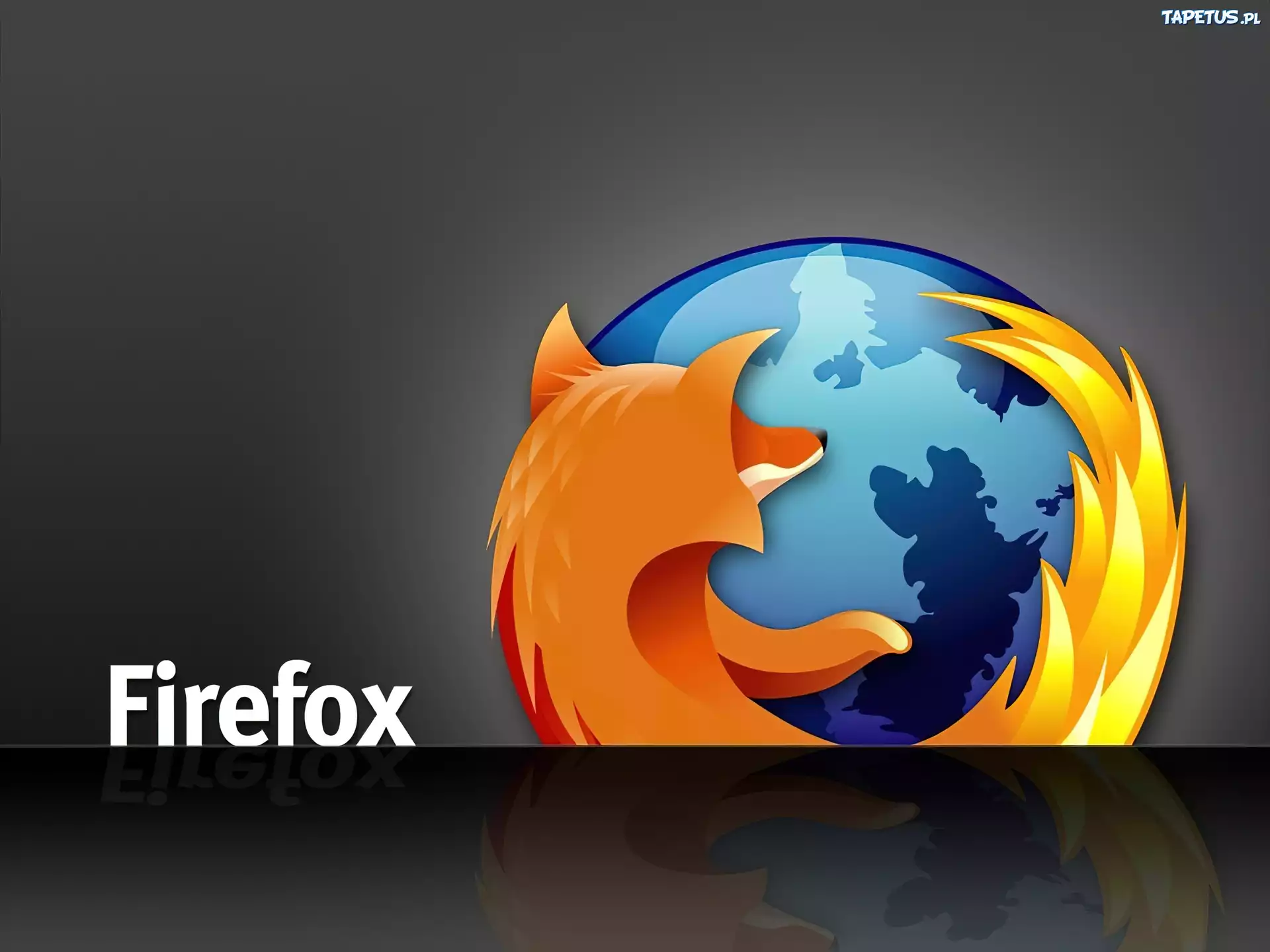 FireFox, lis, grafika, ziemia