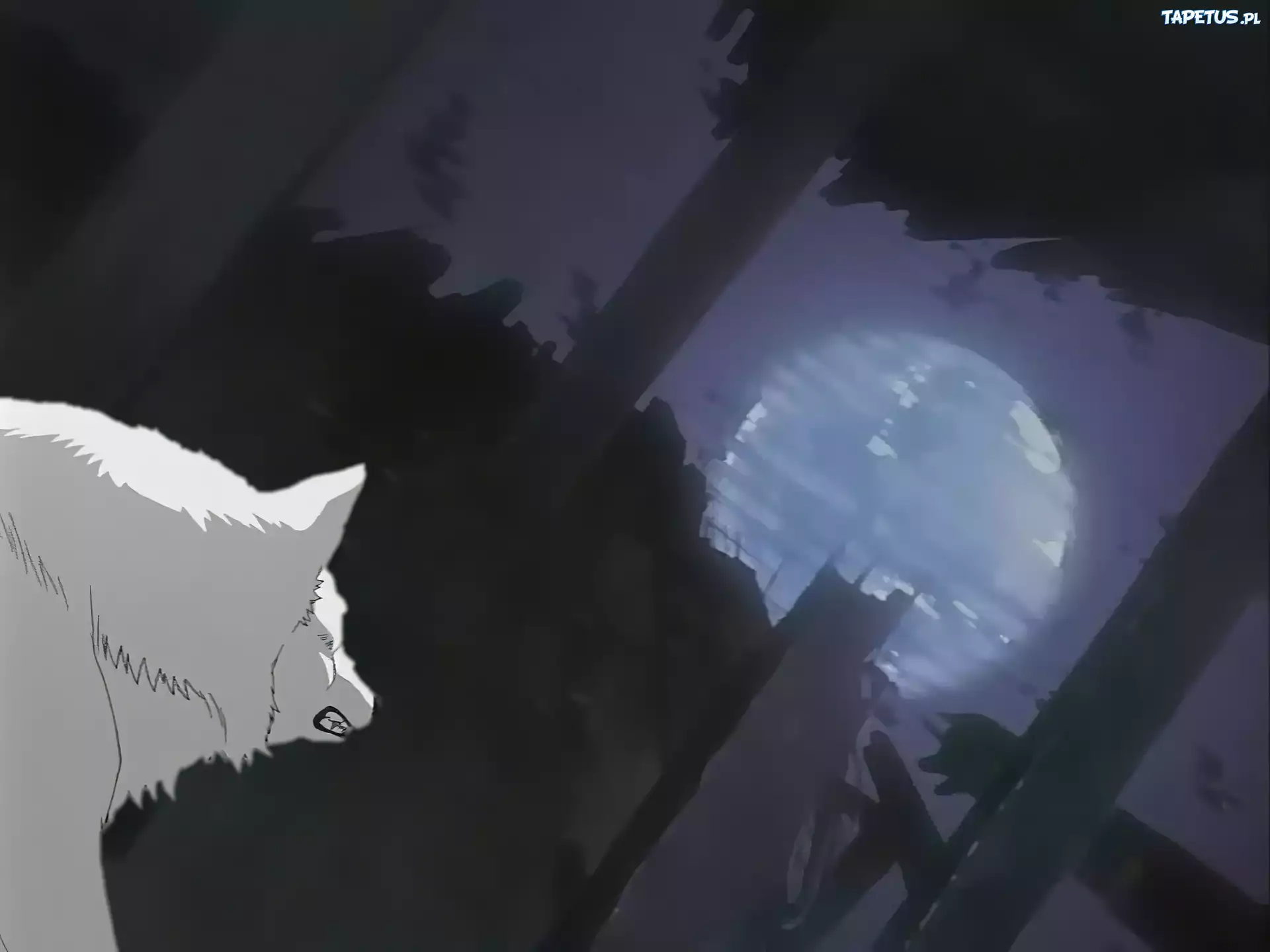 wściekły, wilk, księżyc, Wolfs Rain