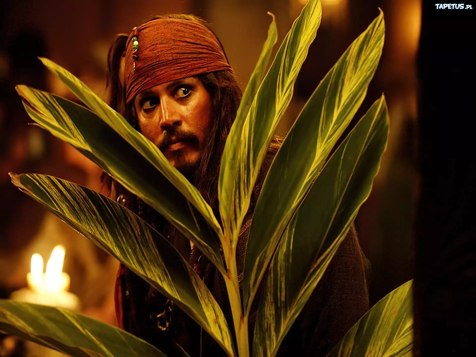 piraci_z_karaibow_2, Johnny Depp, liście